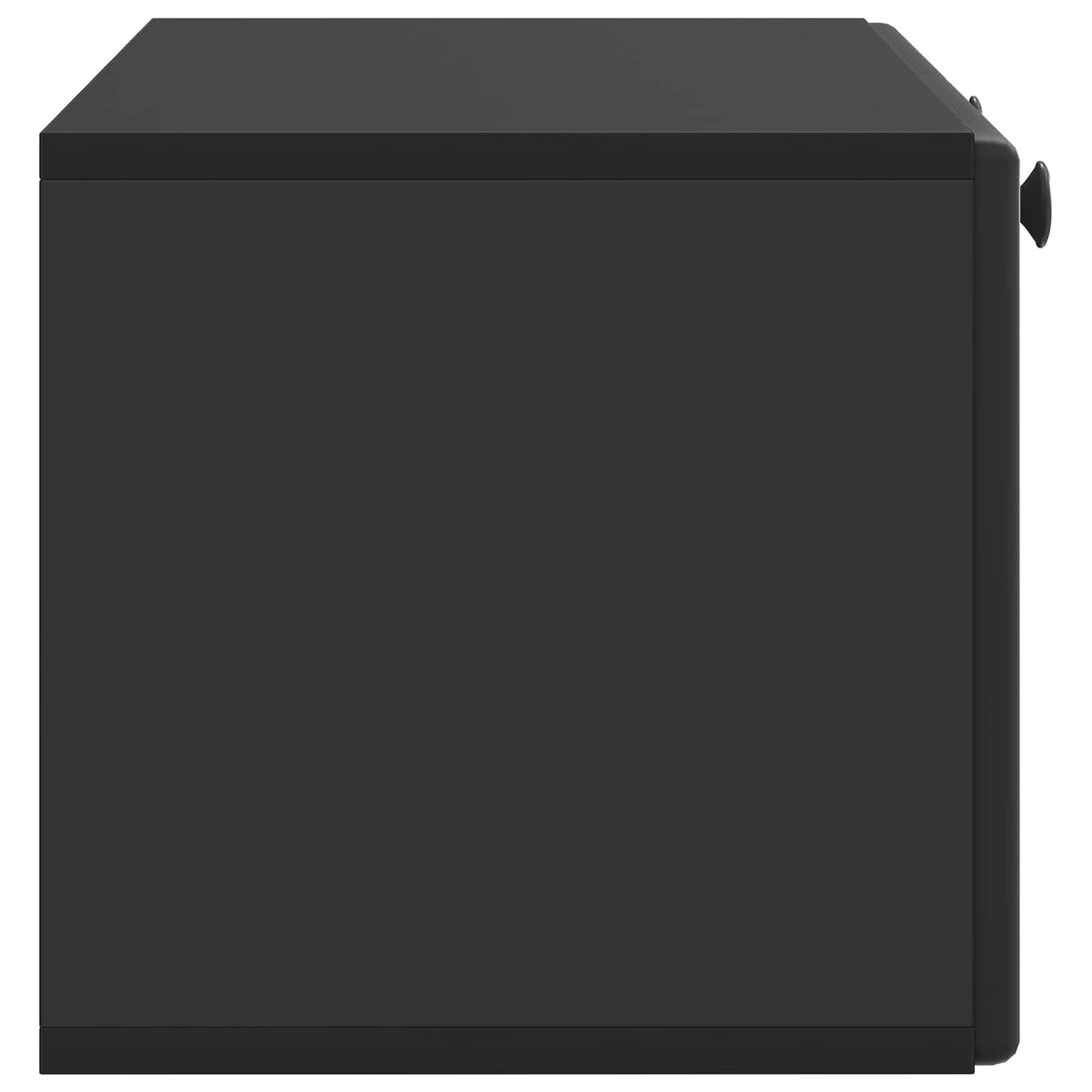Wandmontierter TV-Schrank 78,5 x 31 x 30 cm Schwarz
