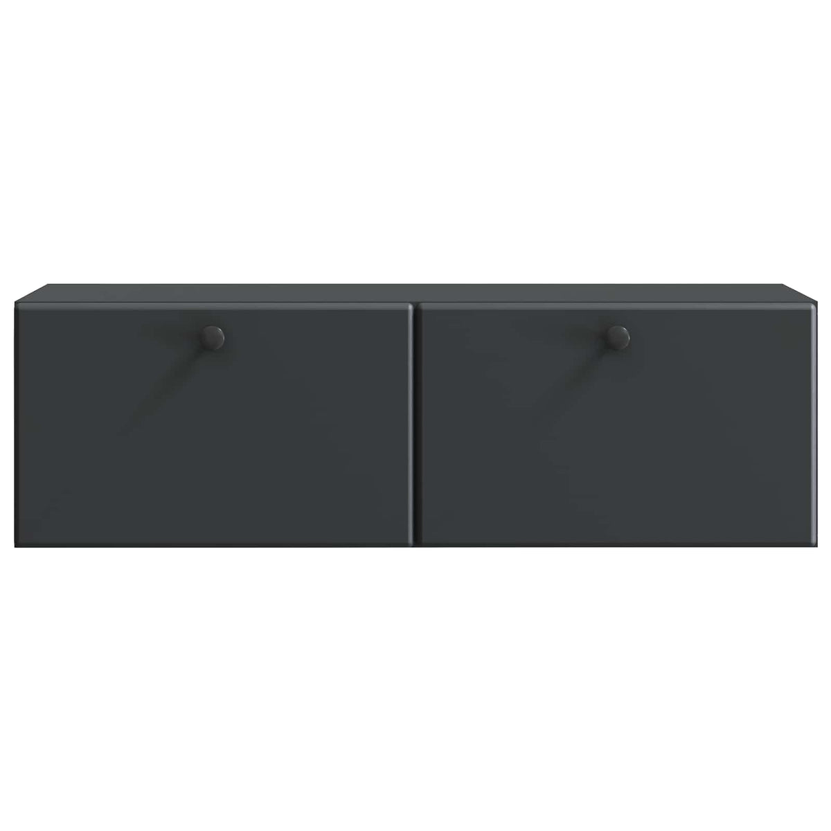 Wandmontierter TV-Schrank 98 x 31 x 30 cm Schwarz Holzwerkstoff