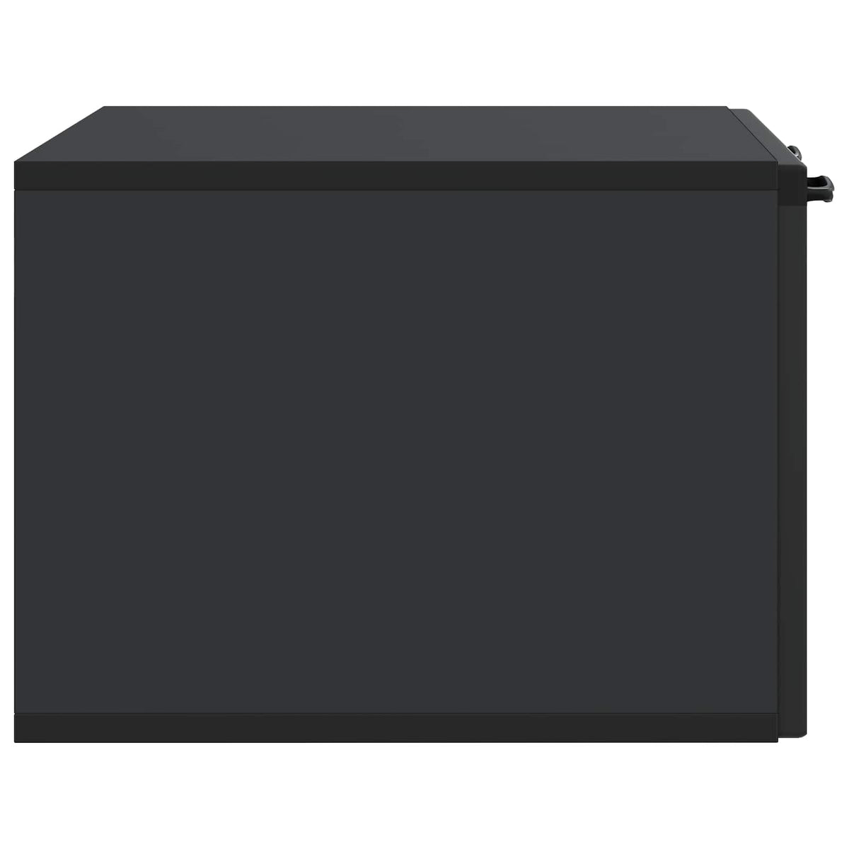Wandmontierter TV-Schrank Schwarz 59,5 x 41 x 30 cm