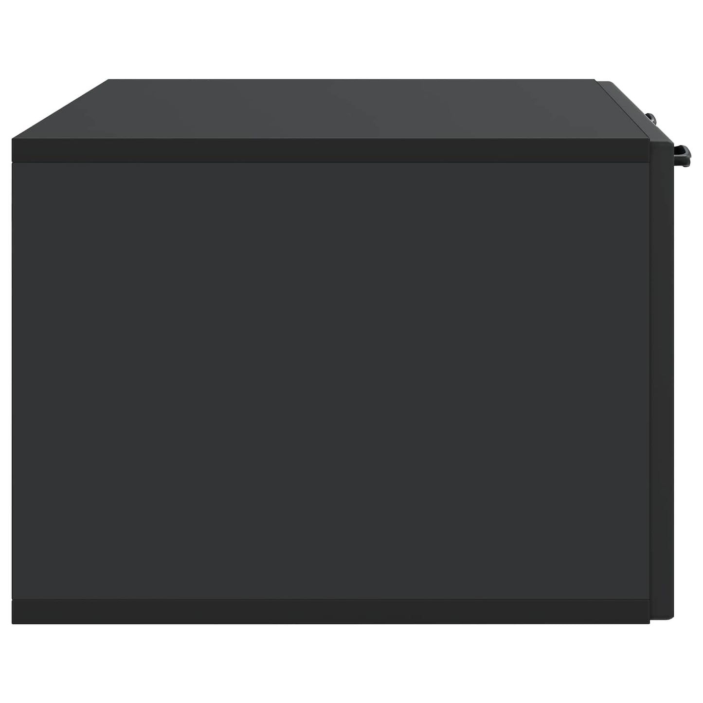 Wandmontierter TV-Schrank Schwarz 78,5 x 41 x 30 cm