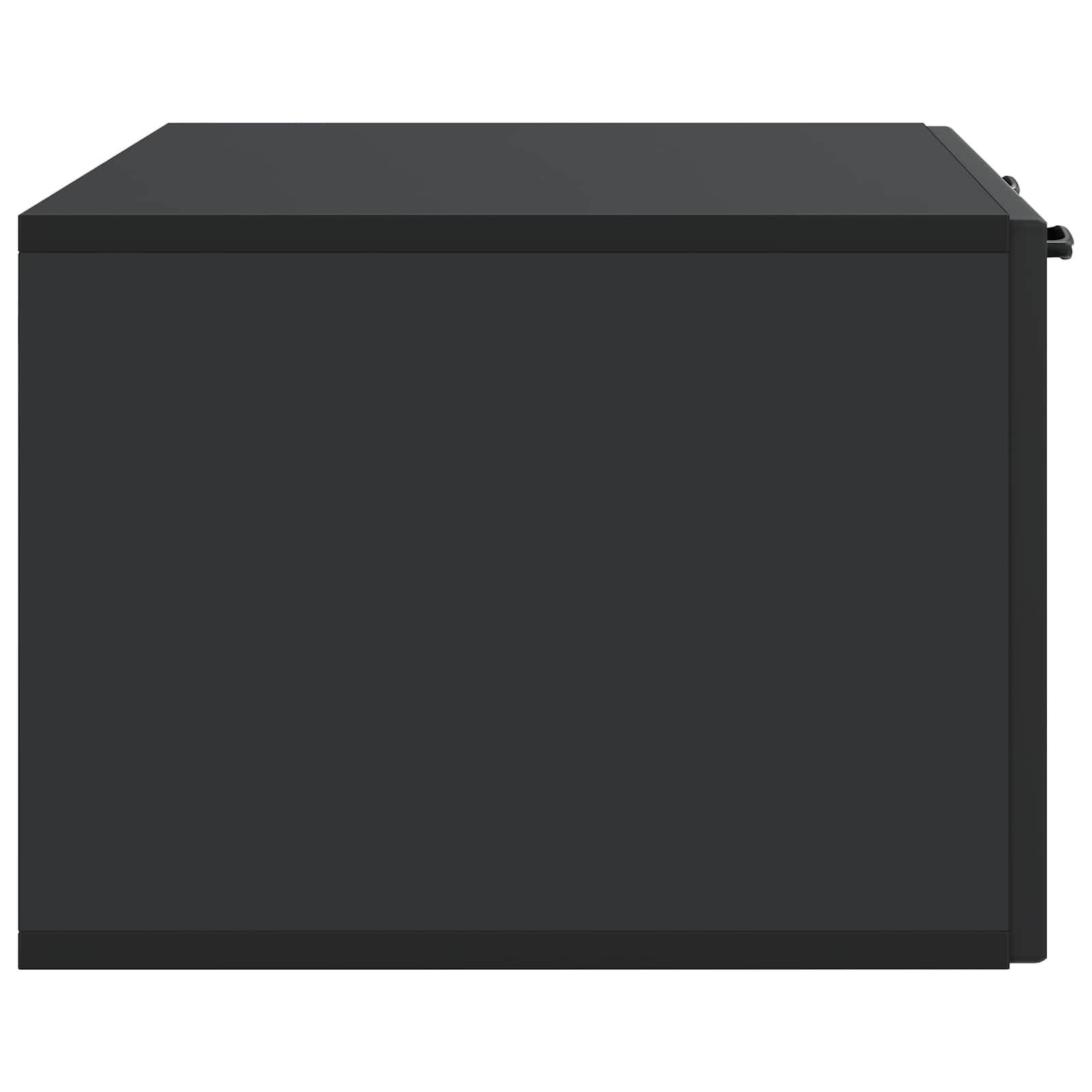 Wandmontierter TV-Schrank Schwarz 78,5 x 41 x 30 cm