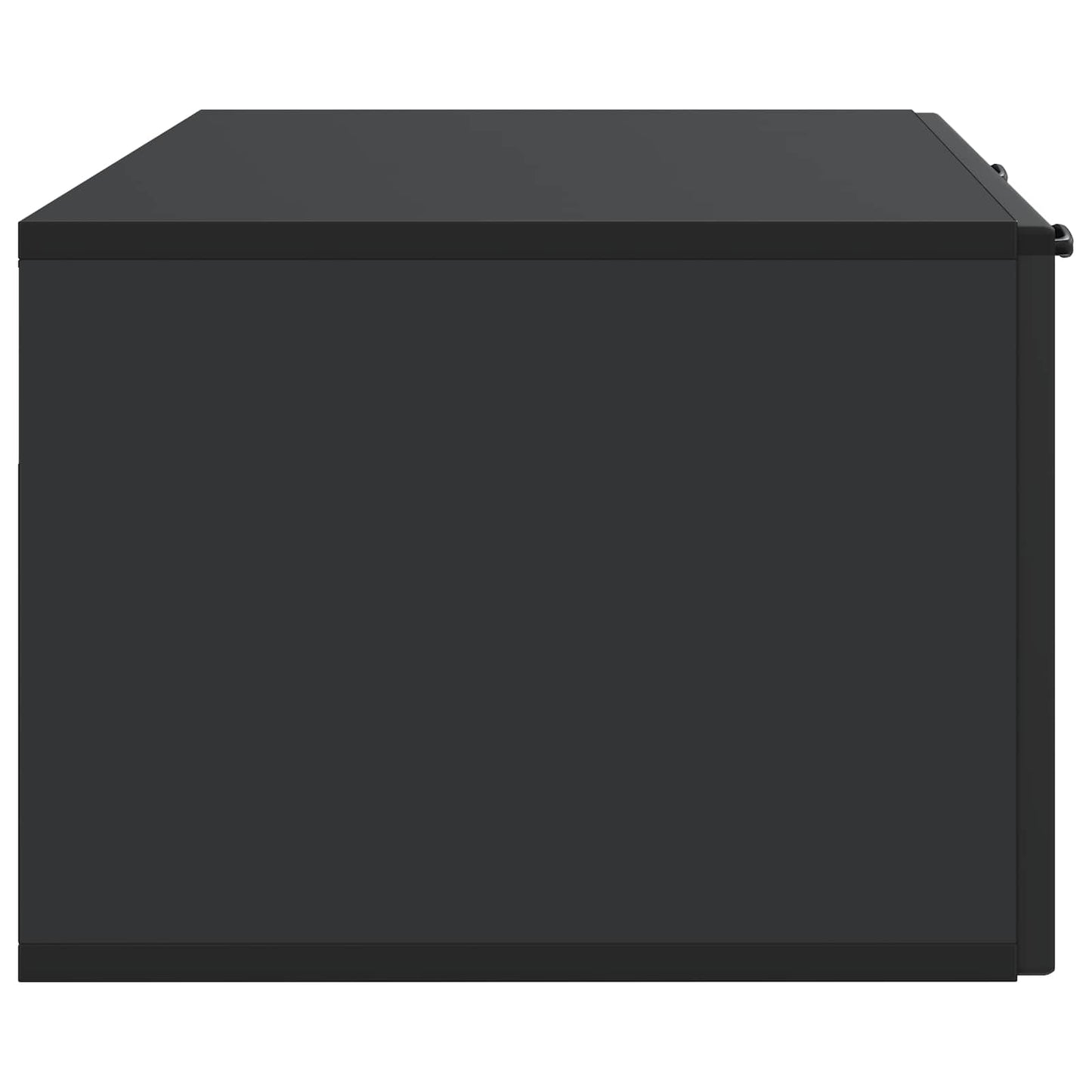 Wandmontierter TV-Schrank Schwarz 98 x 41 x 30 cm Holzwerkstoff