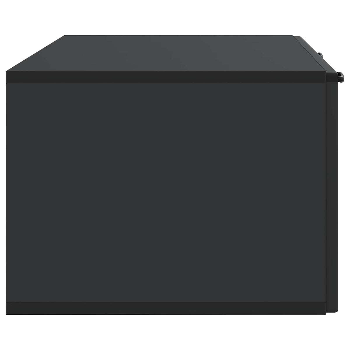Wandmontierter TV-Schrank Schwarz 98 x 41 x 30 cm Holzwerkstoff