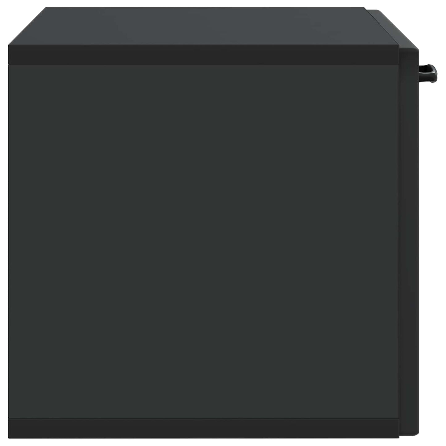 Wandmontierter TV-Schrank Schwarz 59,5 x 31 x 30 cm