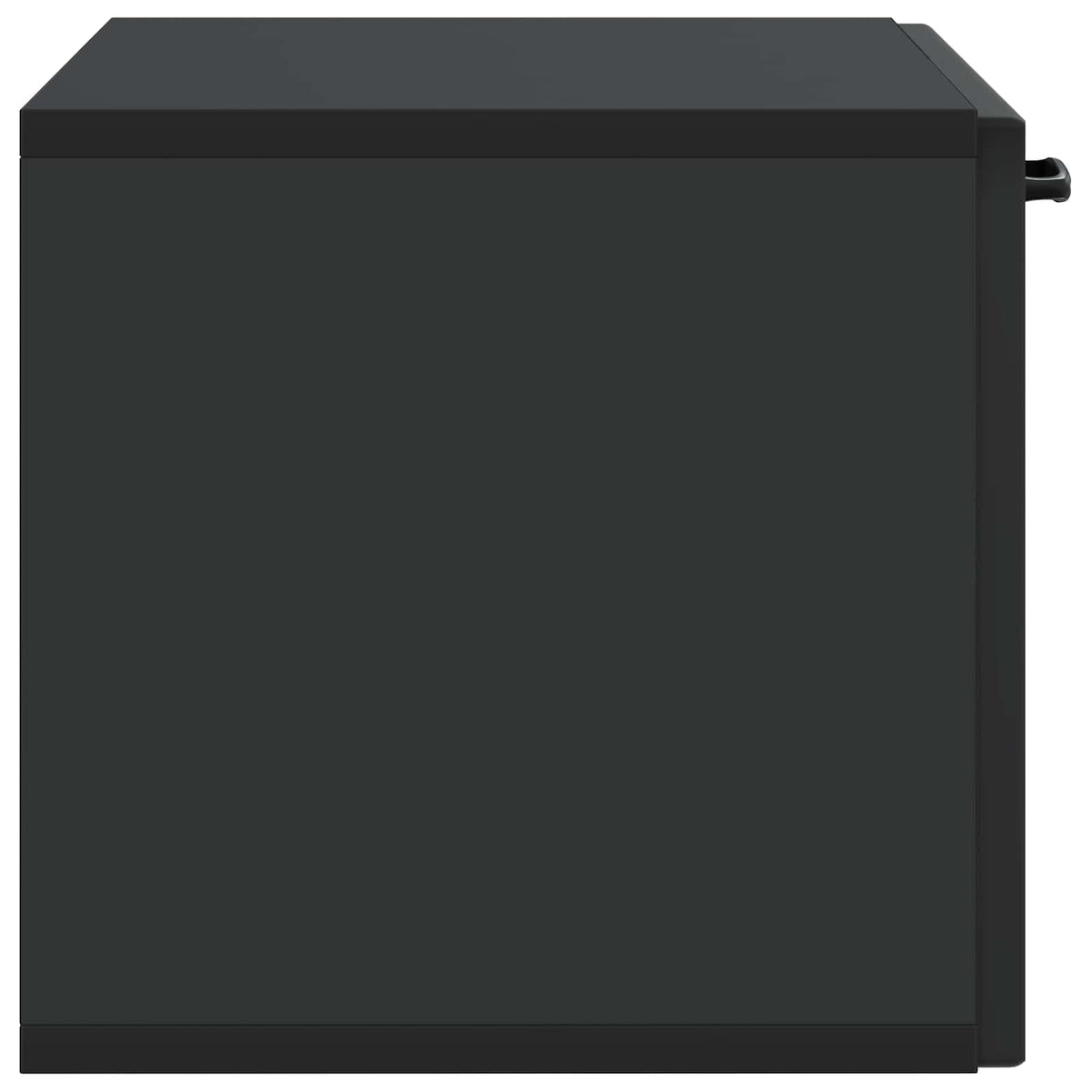 Wandmontierter TV-Schrank Schwarz 59,5 x 31 x 30 cm