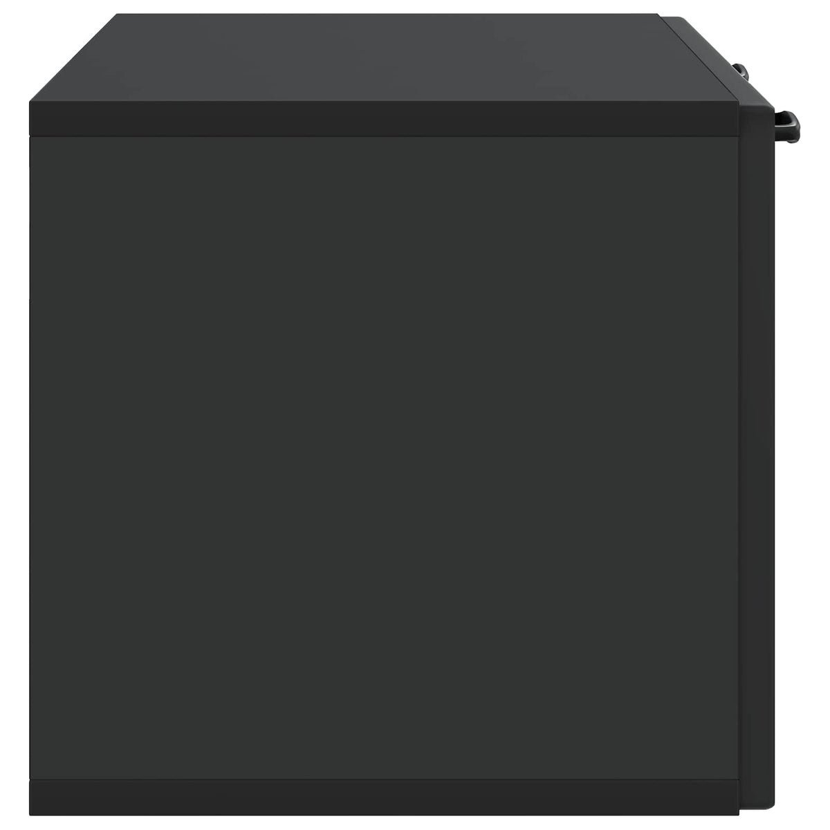 Wandmontierter TV-Schrank Schwarz 78,5 x 31 x 30 cm