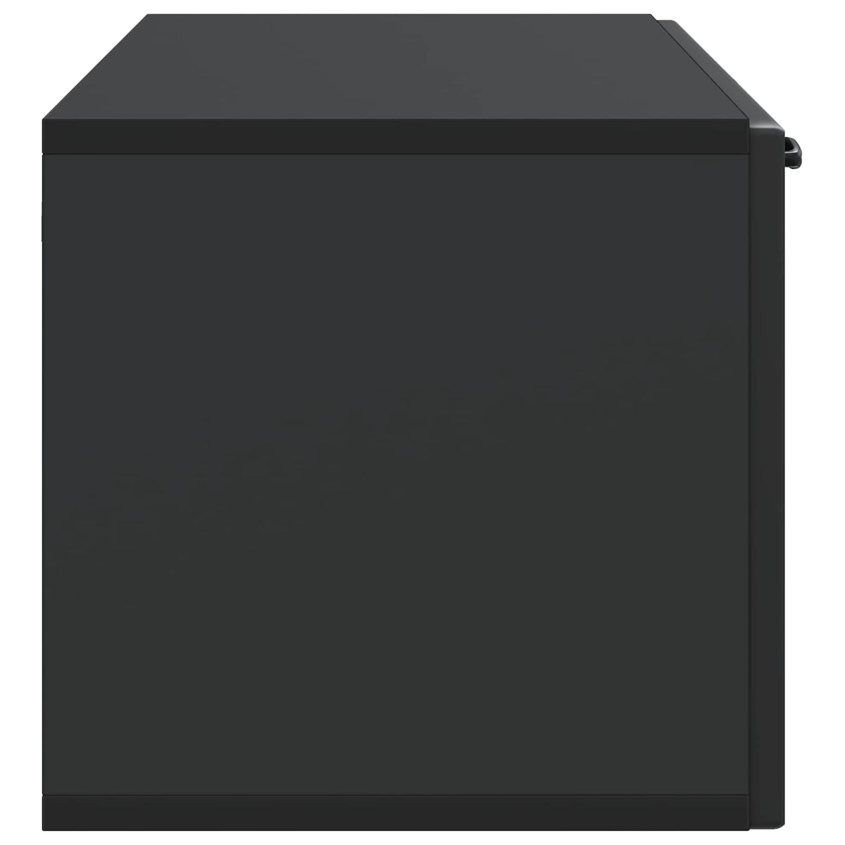 Wandmontierter TV-Schrank Schwarz 98 x 31 x 30 cm Holzwerkstoff