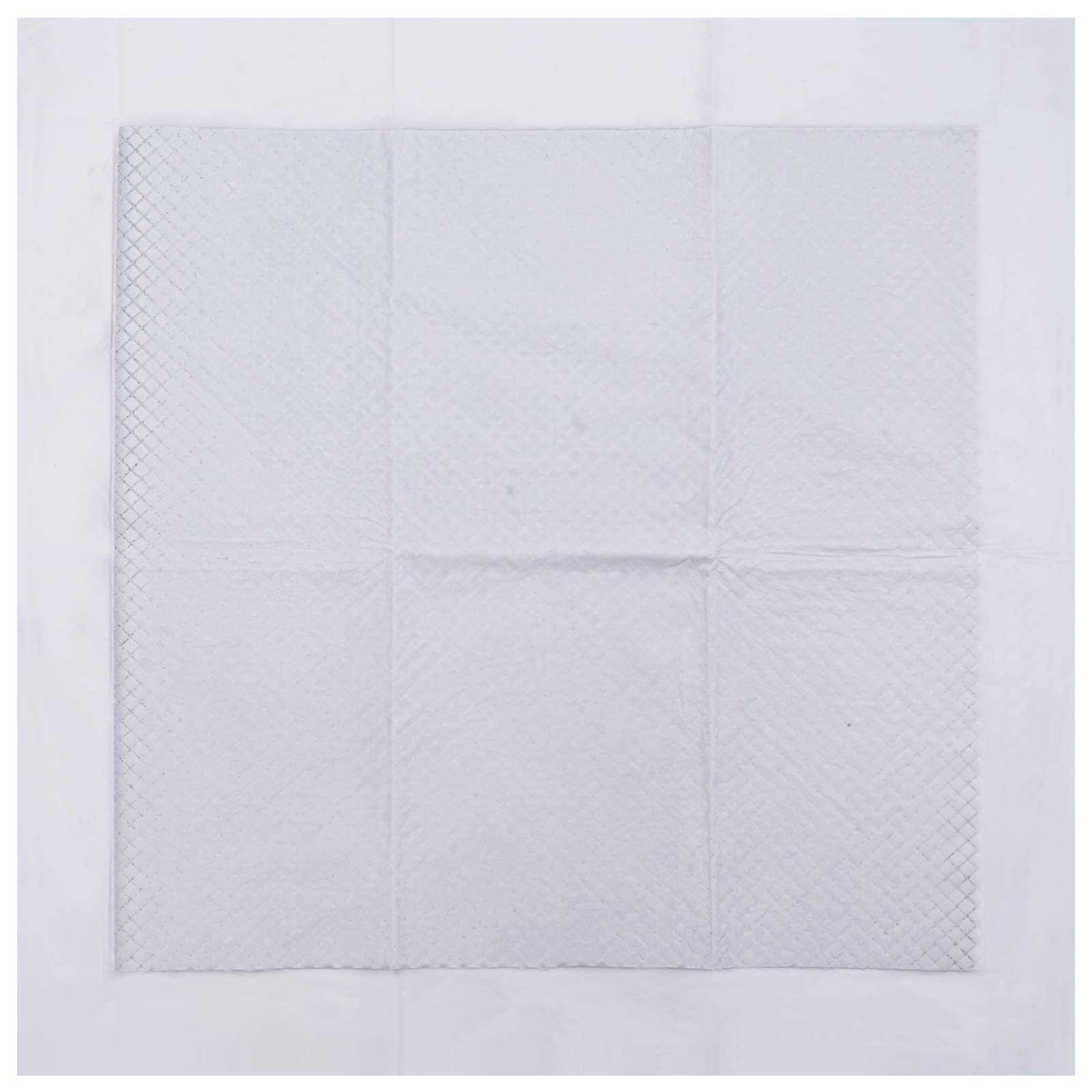 Non-woven Fabric Pet Training Pad 200 stk. 60 x 60 cm