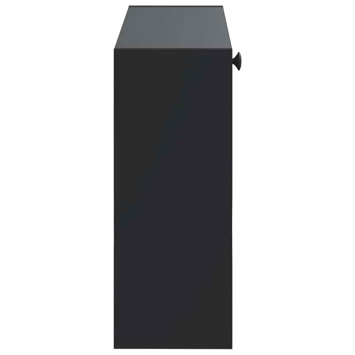 Wandmontierter Schuhschrank EDE 71 x 17 x 43 cm Holzwerkstoff