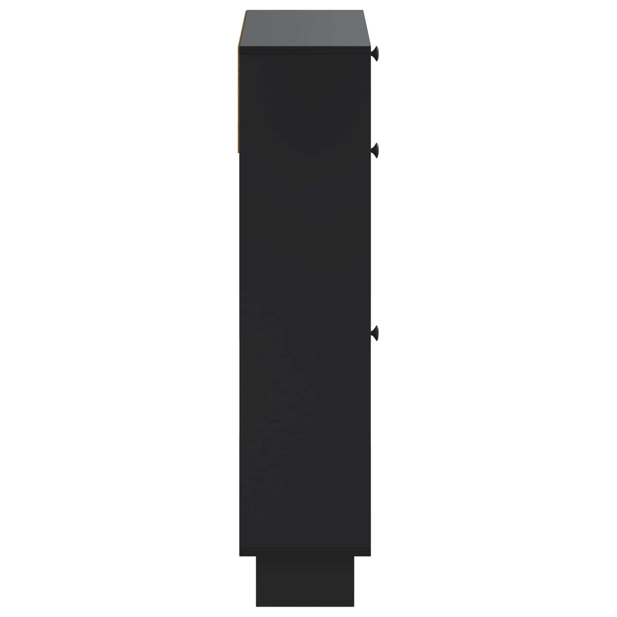 Schuhschrank EDE 78 x 24 x 103 cm Holzwerkstoff Schwarz