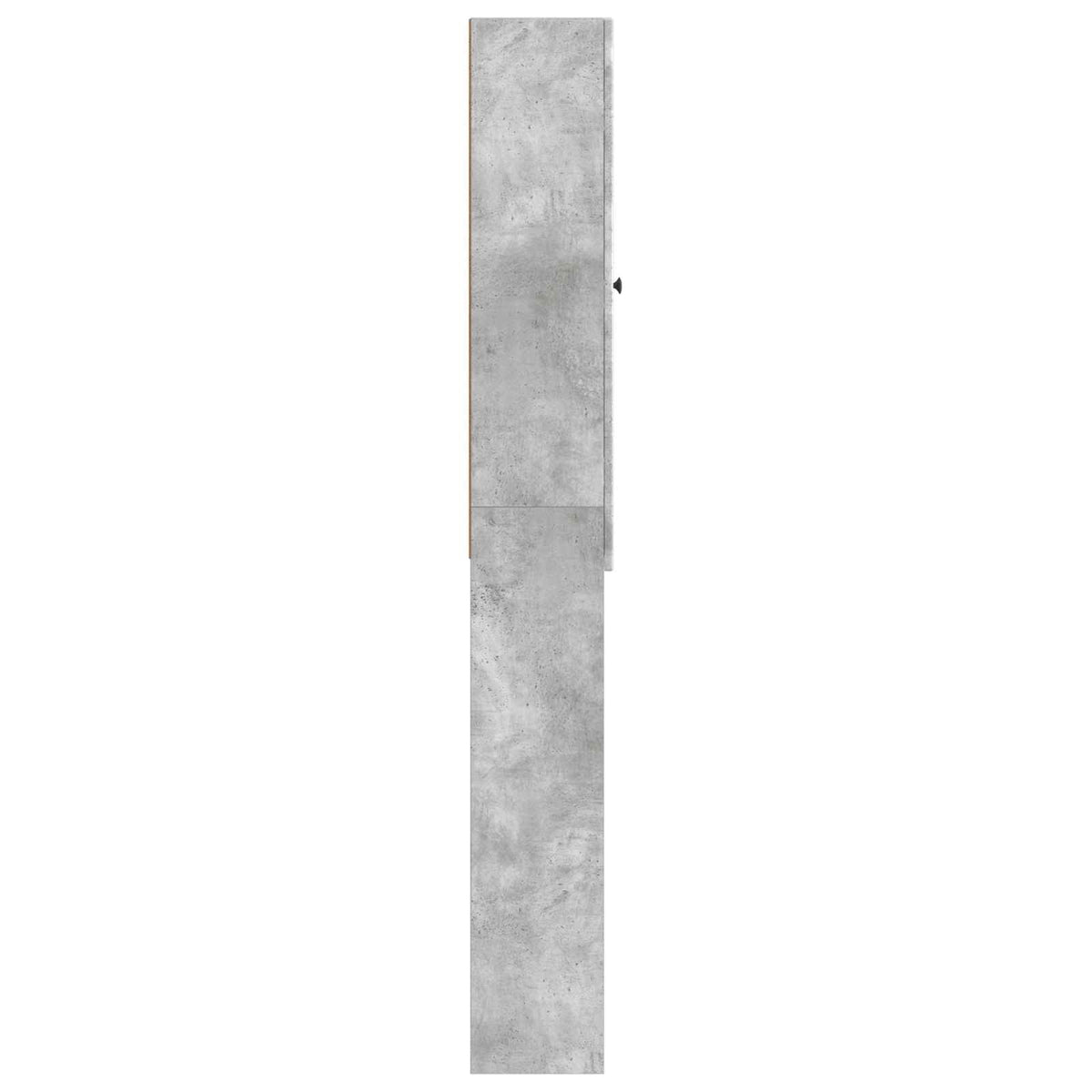 Toilettenschrank ALKMAAR Betongrau 66 x 25,5 x 190 cm