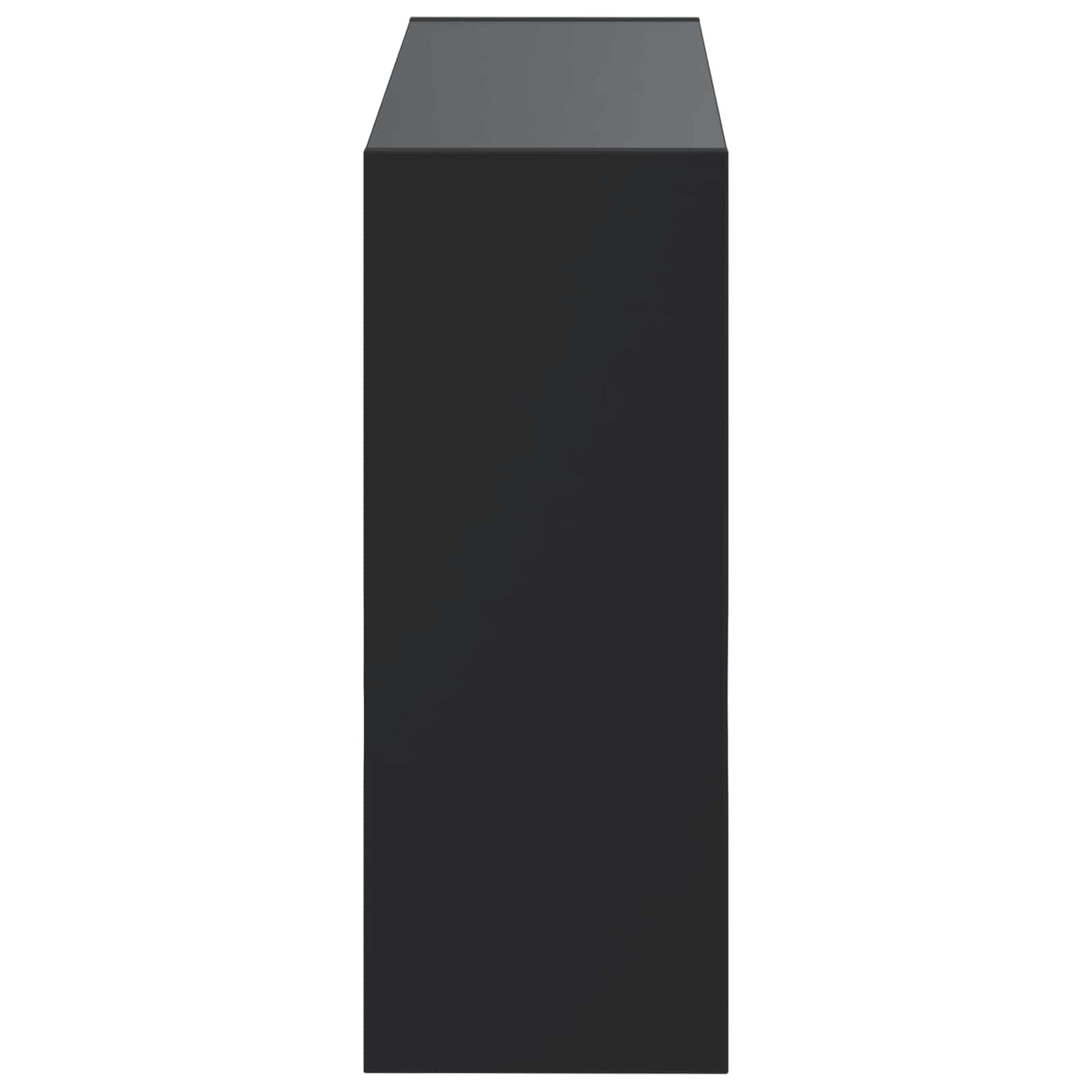 Wandmontierter Schuhschrank ARNHEM 71 x 17 x 43 cm Schwarz
