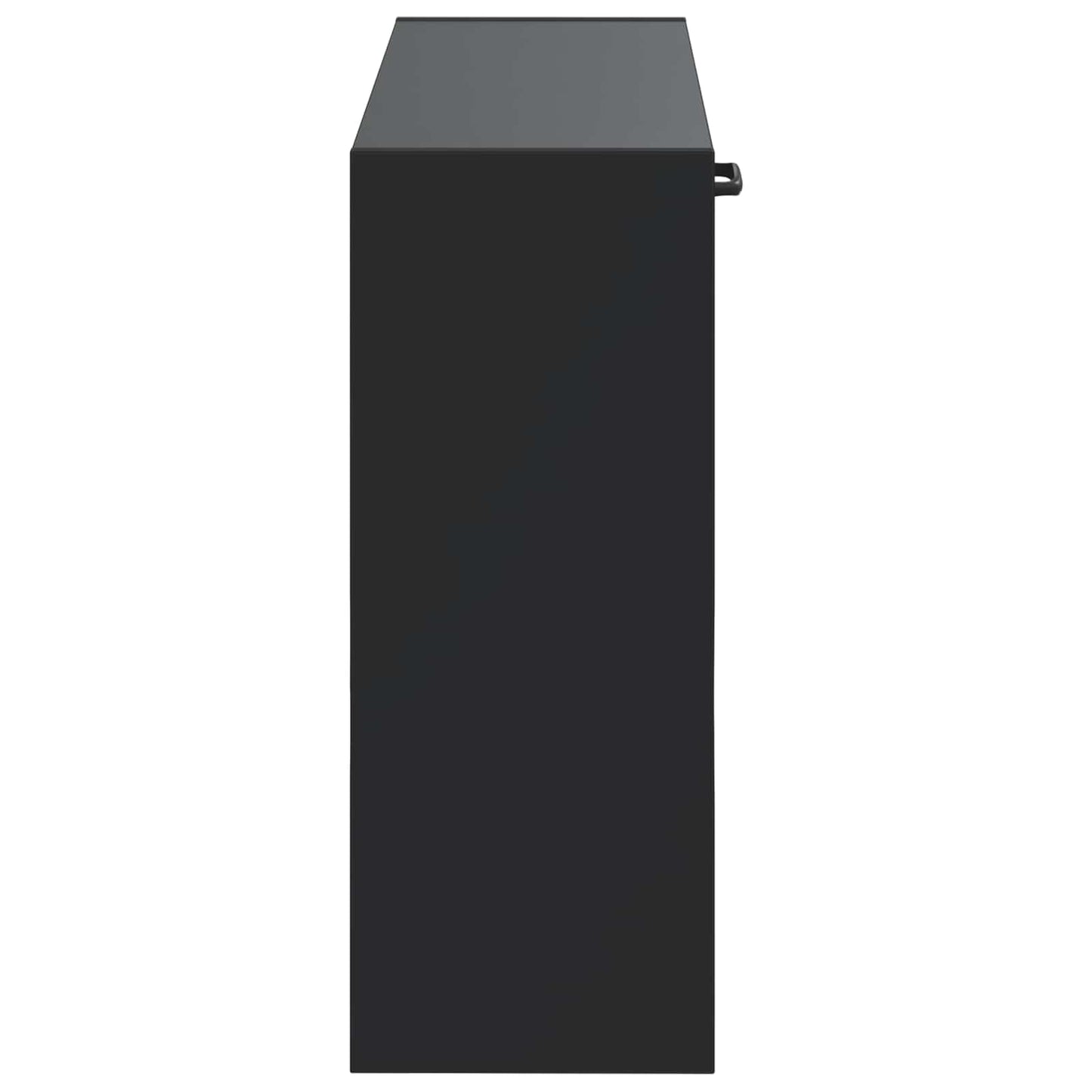 Wandmontierter Schuhschrank HAARLEM 71 x 17 x 43 cm Schwarz