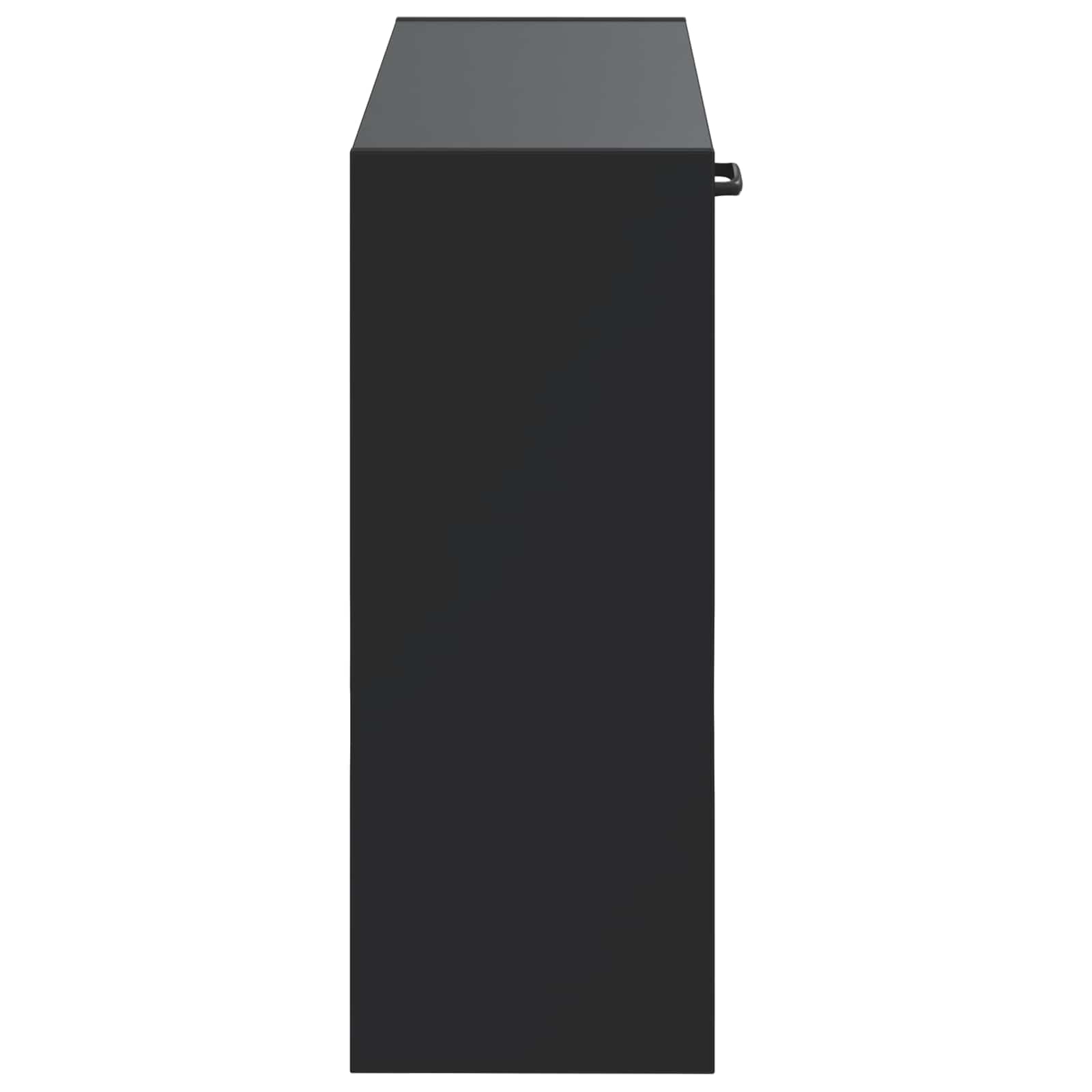 Wandmontierter Schuhschrank HAARLEM 71 x 17 x 43 cm Schwarz