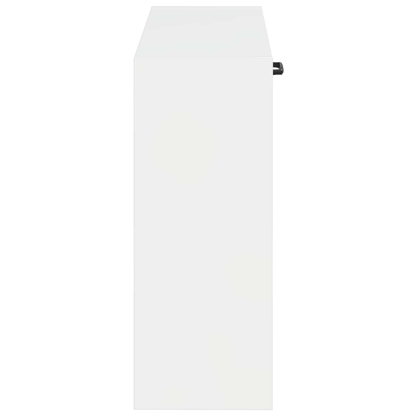 Wandmontierter Schuhschrank HAARLEM 71 x 17 x 43 cm