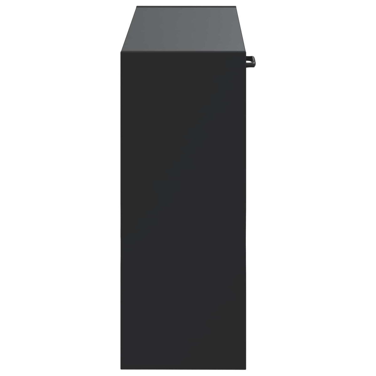 Wandmontierter Schuhschrank UTRECHT 71 x 17 x 43 cm Schwarz