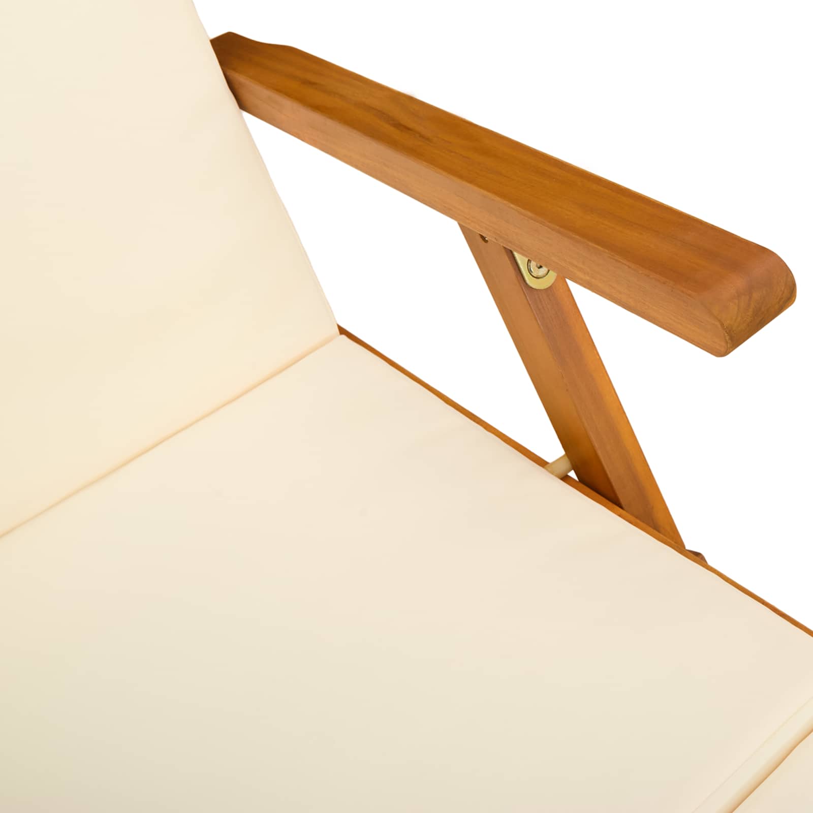Reclining and Folding Sunlounger 55 x 146 x 91 cm