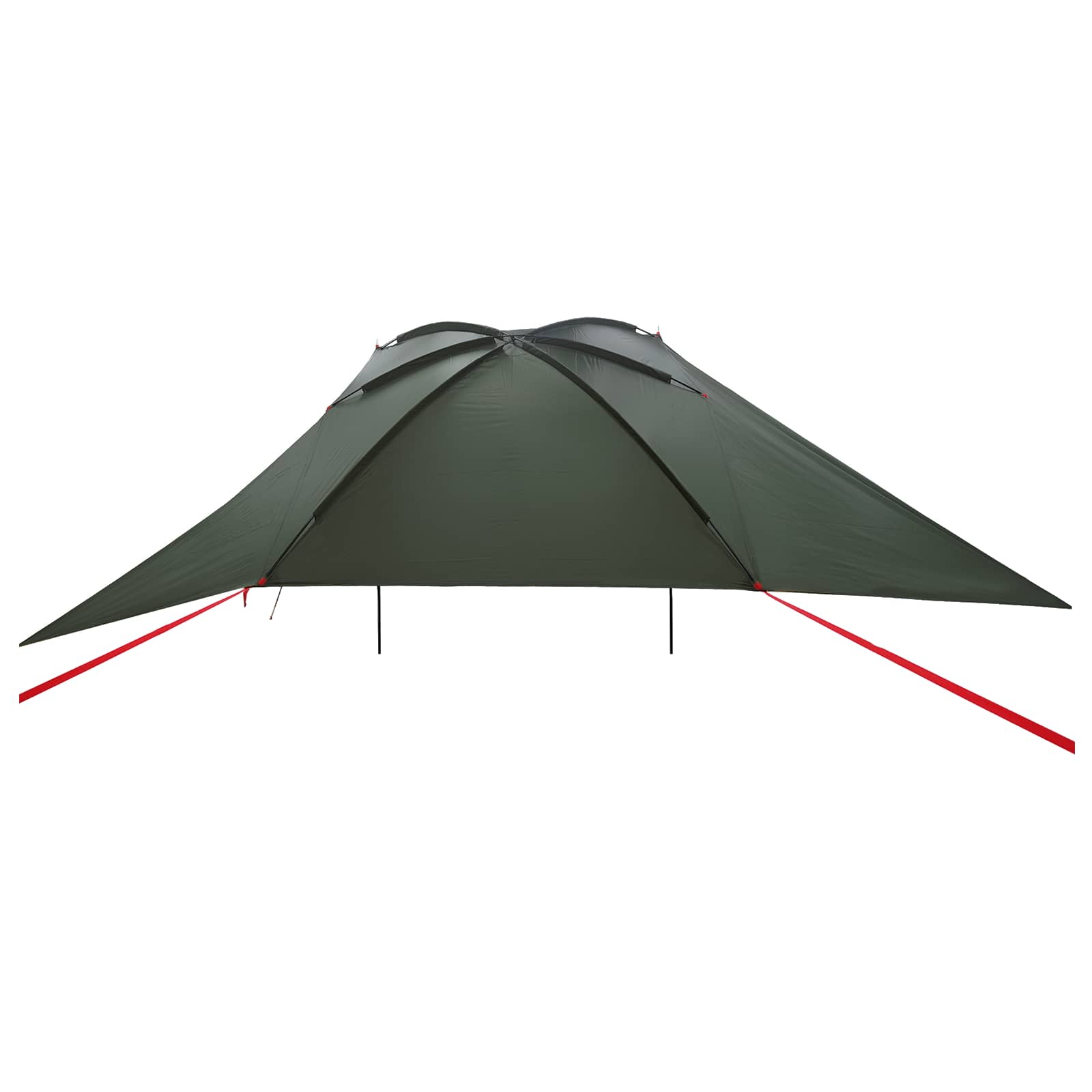 Autozelt 308 x 215 x 220 cm Olivegrün Polyester und Stahl