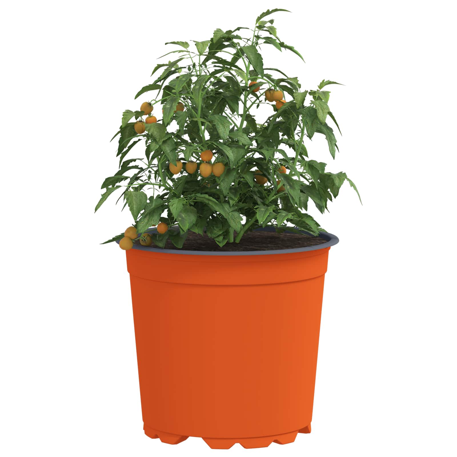 Runder Blumentopf 50 Stk. Terrakotta Ø 15 x 13 cm Kunststoff