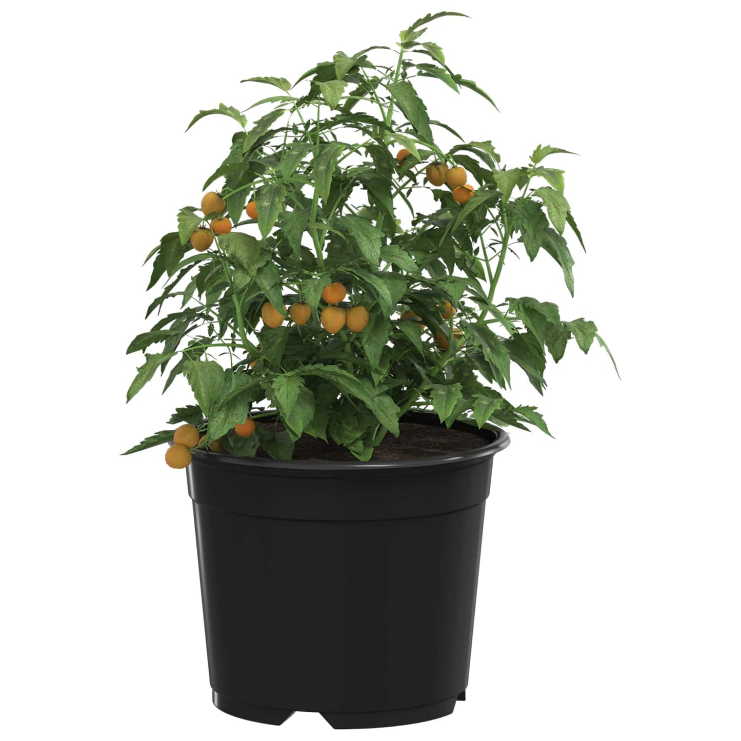 Runder Blumentopf 50 Stk. Schwarz Ø 10 x 8 cm Kunststoff