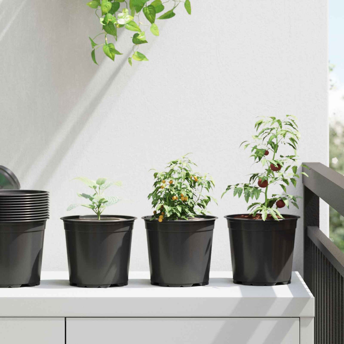 Runder Blumentopf 50 Stk. Schwarz Ø 15 x 13 cm Kunststoff