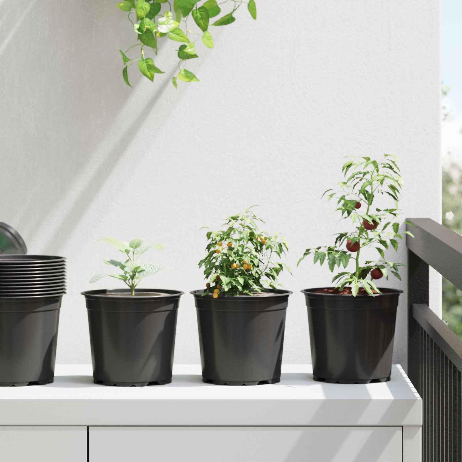 Runder Blumentopf 100 stk. Schwarz Ø 15 x 13 cm Kunststoff