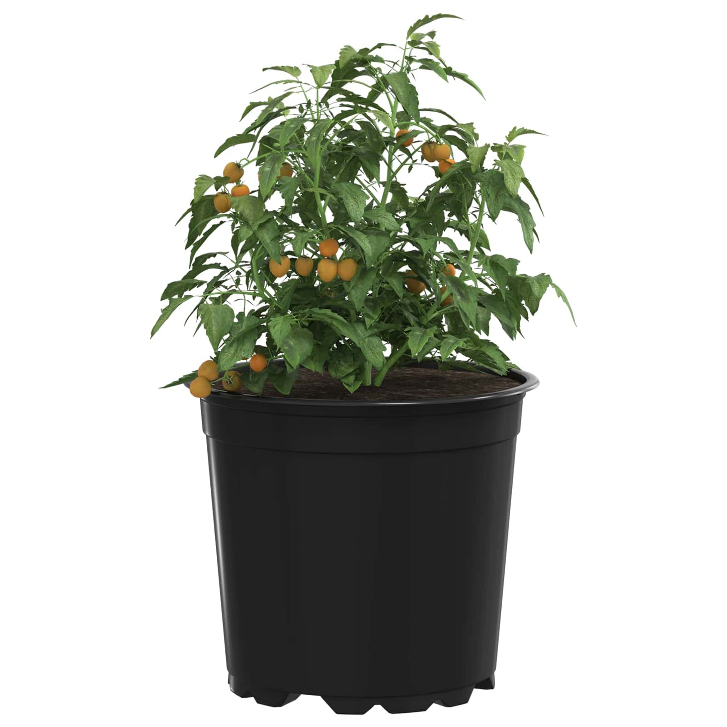 Runder Blumentopf 200 Stk. Schwarz Ø 15 x 13 cm Kunststoff