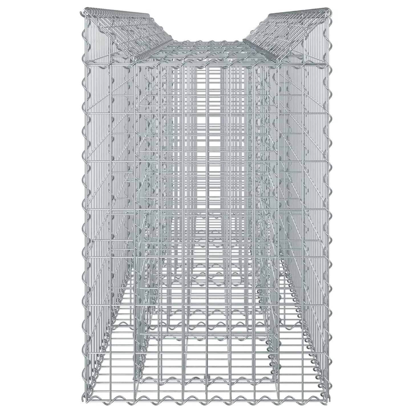 Gabionen-Hochbeet 2 stk. 200 x 50 x 80 cm Verzinkter Stahl