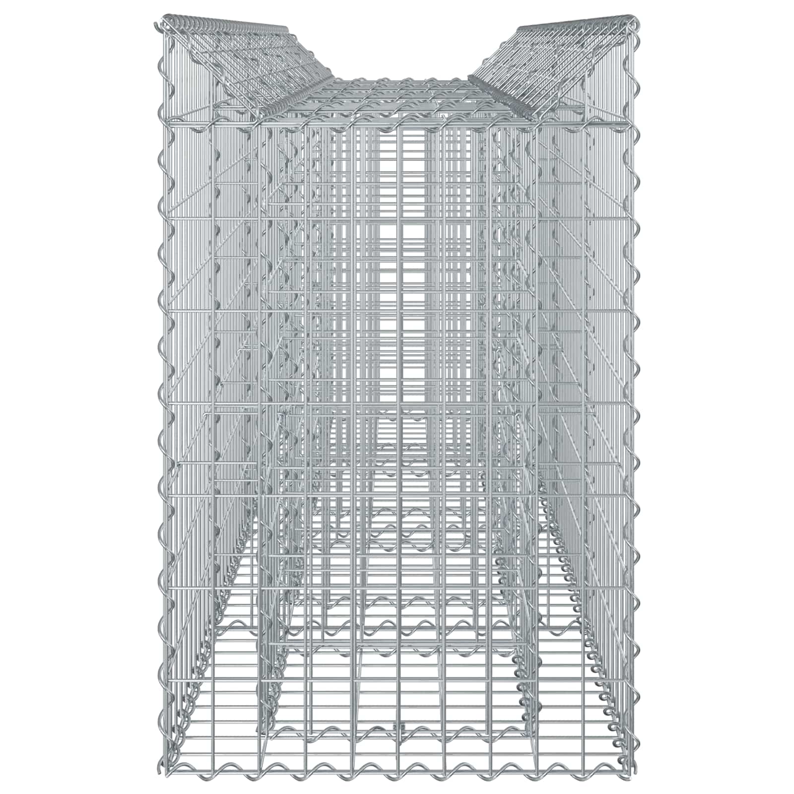Gabionen-Hochbeet 2 stk. 200 x 50 x 80 cm Verzinkter Stahl