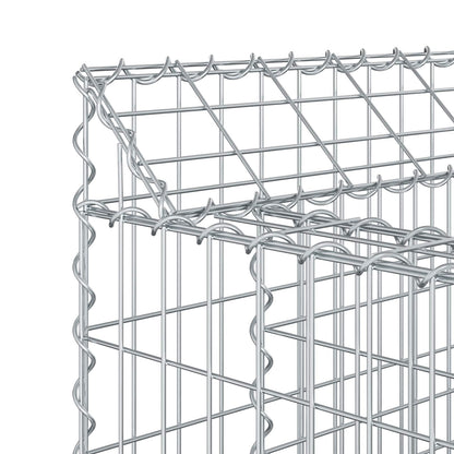 Gabionen-Hochbeet 2 stk. 300 x 50 x 80 cm Verzinkter Stahl