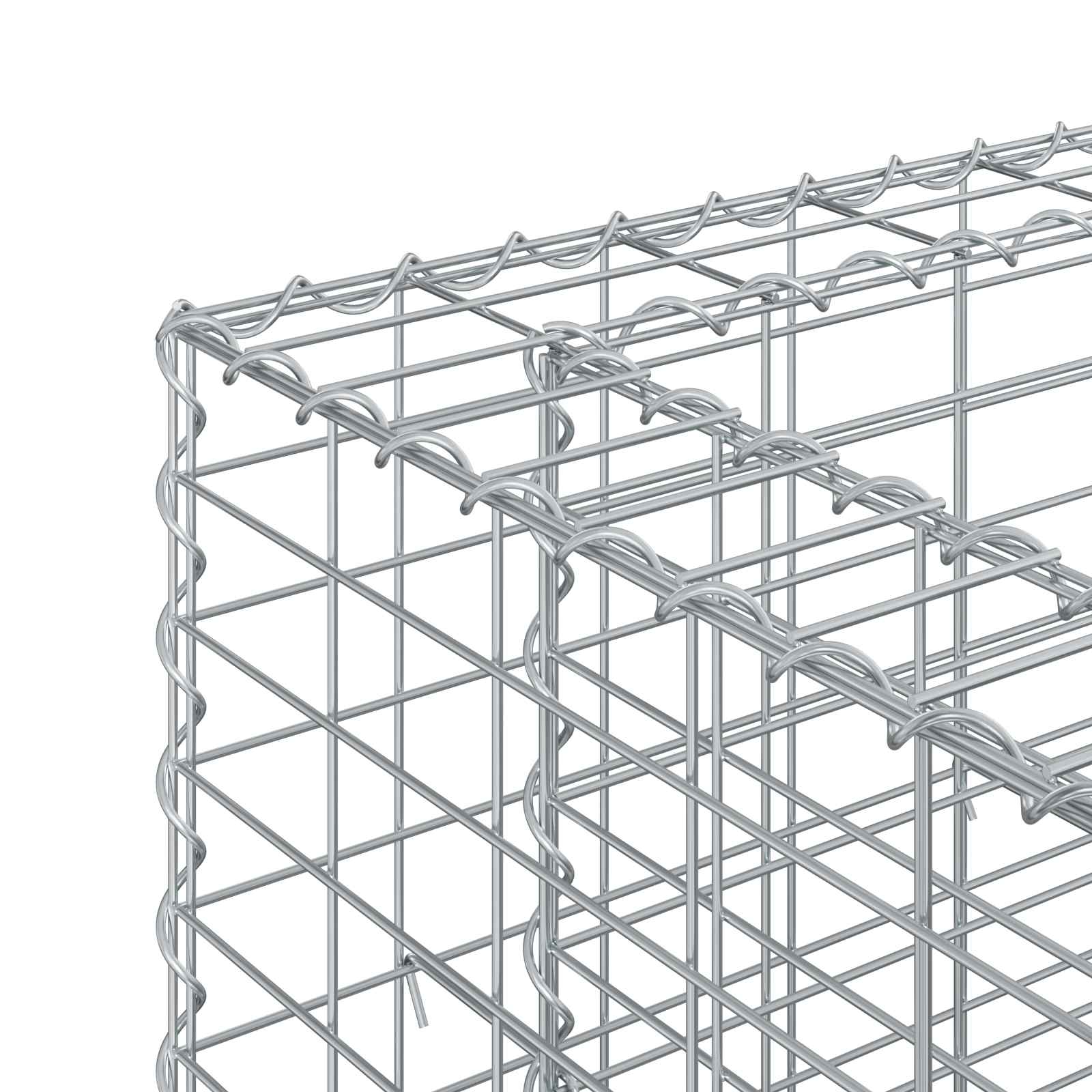 Gabionen-Hochbeet 2 stk. 250 x 50 x 80 cm Verzinkter Stahl