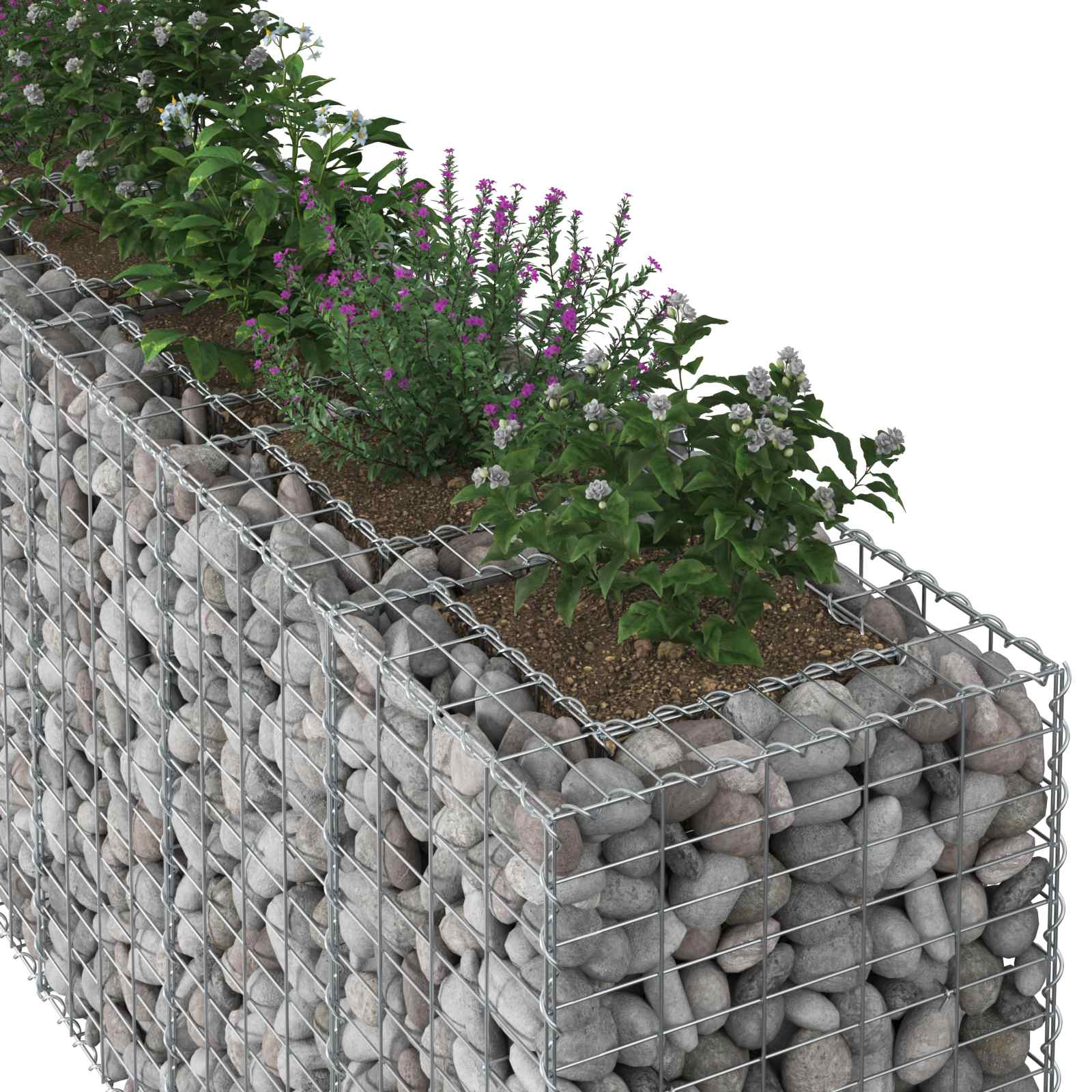 Gabionen-Hochbeet 2 stk. 250 x 50 x 80 cm Verzinkter Stahl