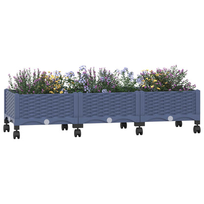 Gartenpflanzer mit Rädern Blaugrau 120 x 40 x 29 cm PP