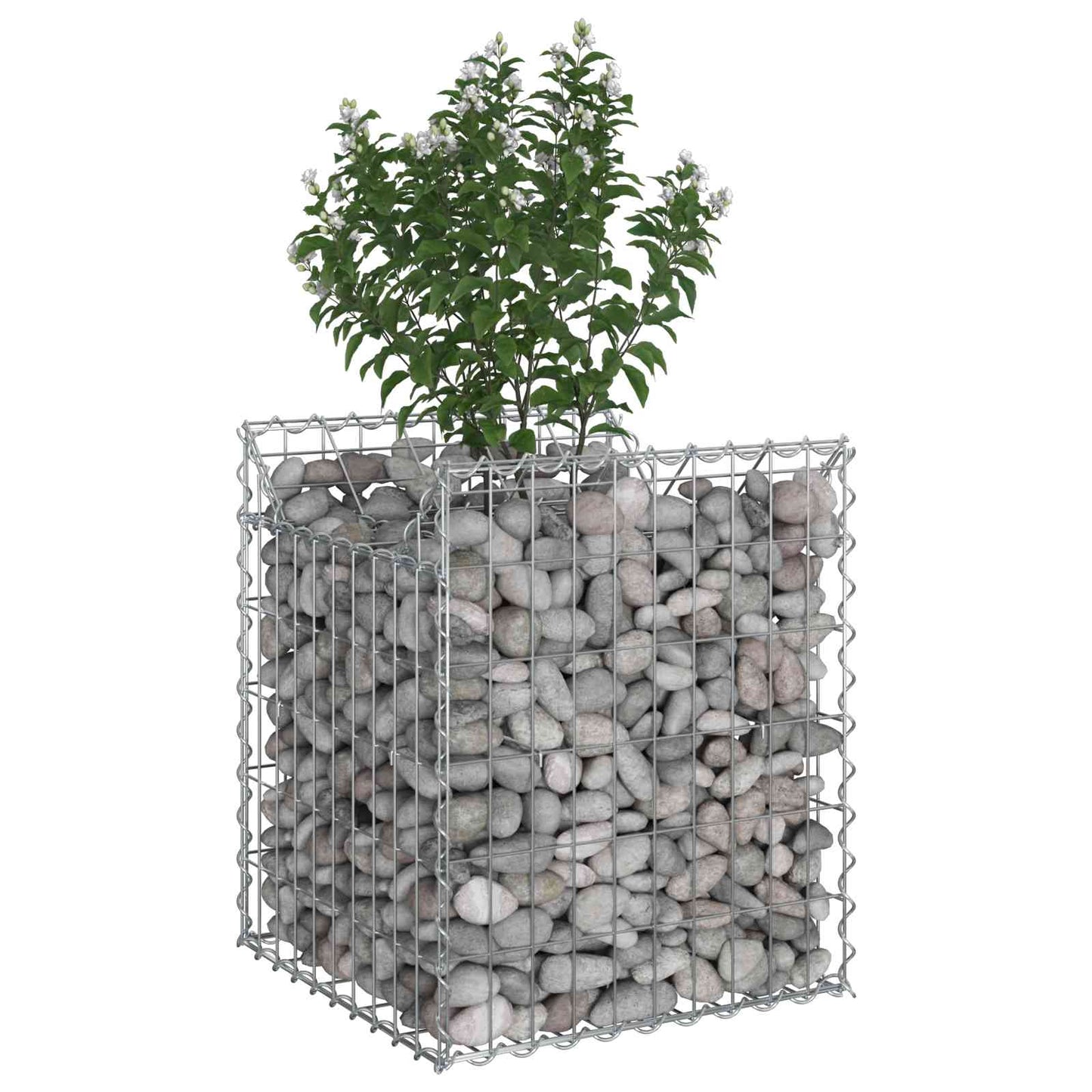 Gabionen-Hochbeet 50 x 50 x 60 cm Verzinkter Stahl Silber