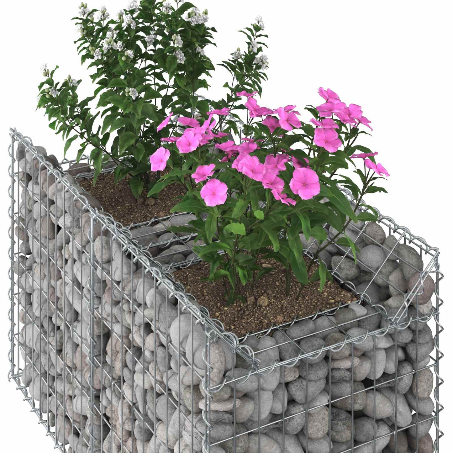 Gabionen-Hochbeet 100 x 50 x 60 cm Verzinkter Stahl Silber