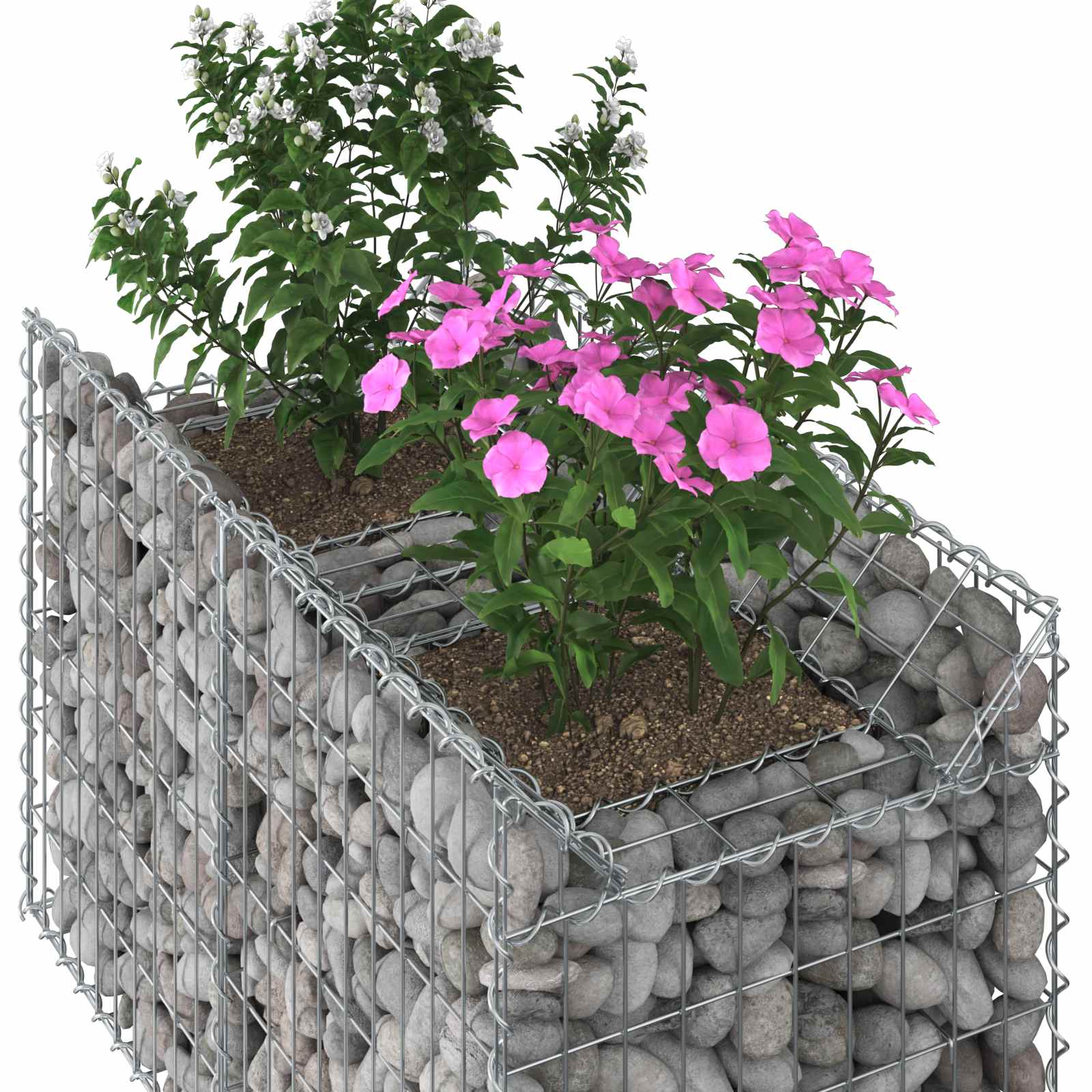 Gabionen-Hochbeet 100 x 50 x 60 cm Verzinkter Stahl Silber