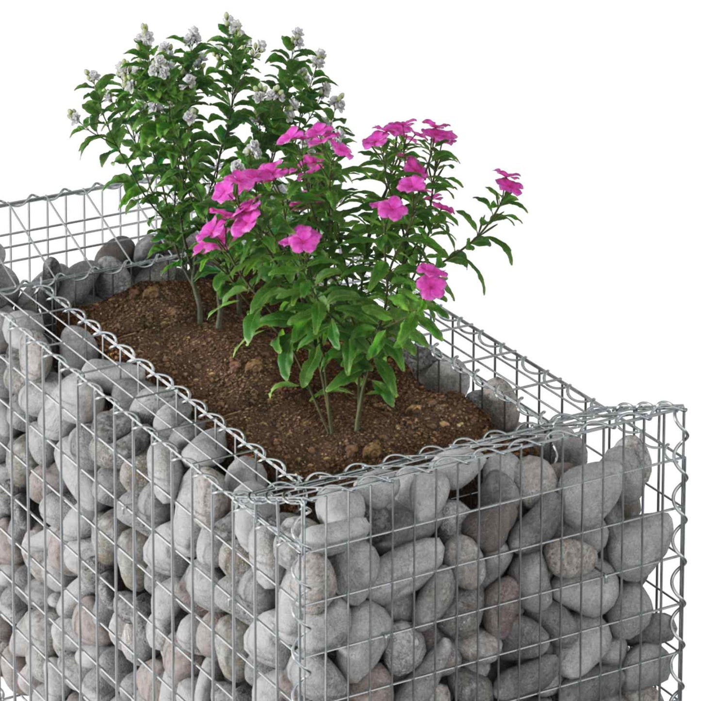Gabionen-Hochbeet 50 x 100 x 60 cm Verzinkter Stahl Silber