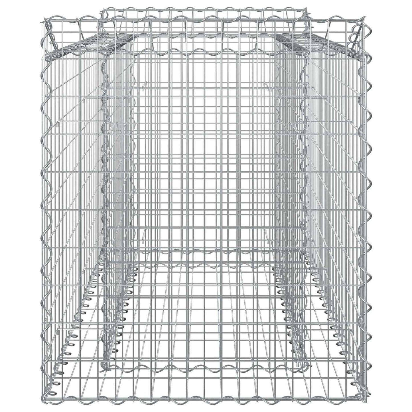 Gabionen-Hochbeet 50 x 100 x 60 cm Verzinkter Stahl Silber