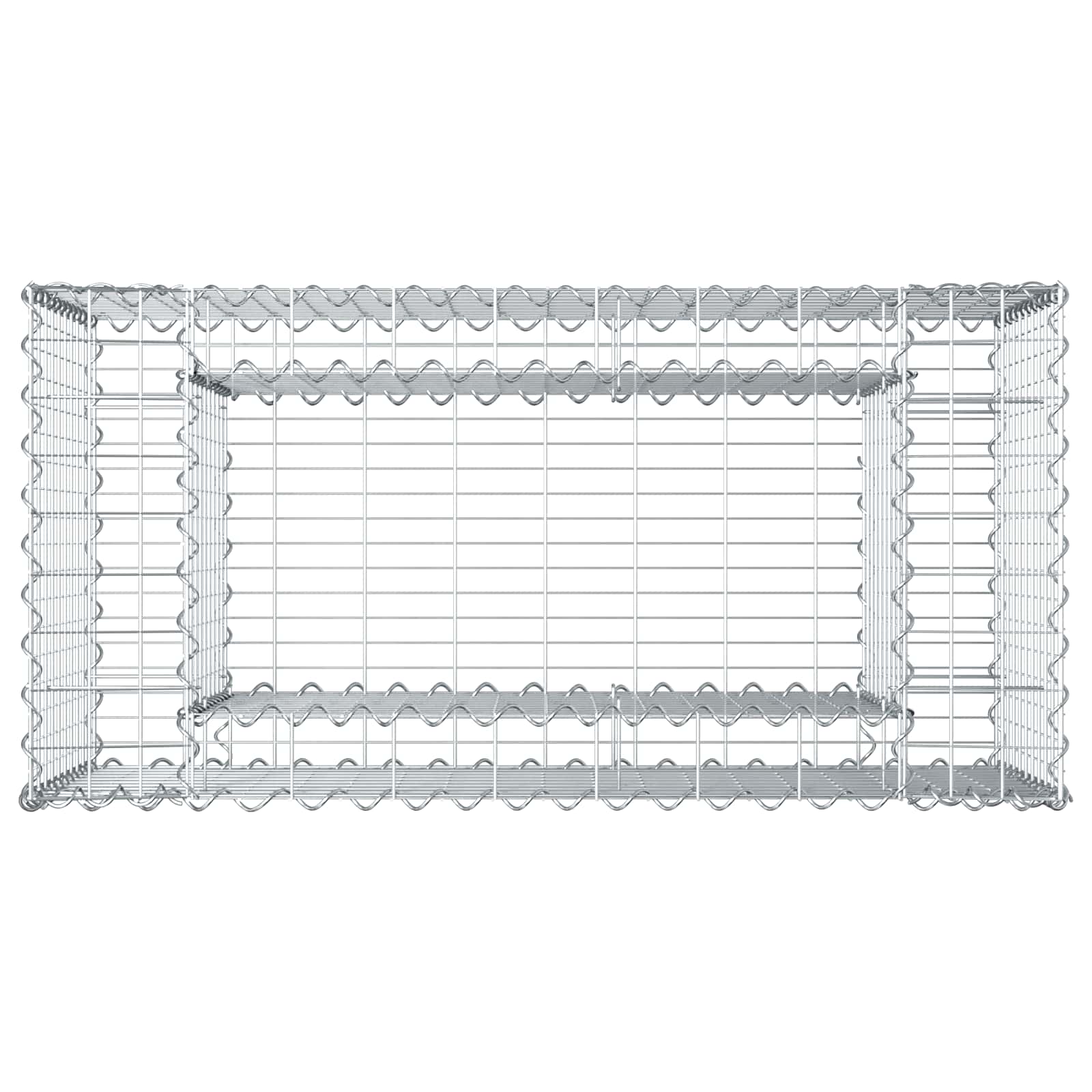 Gabionen-Hochbeet 50 x 100 x 60 cm Verzinkter Stahl Silber