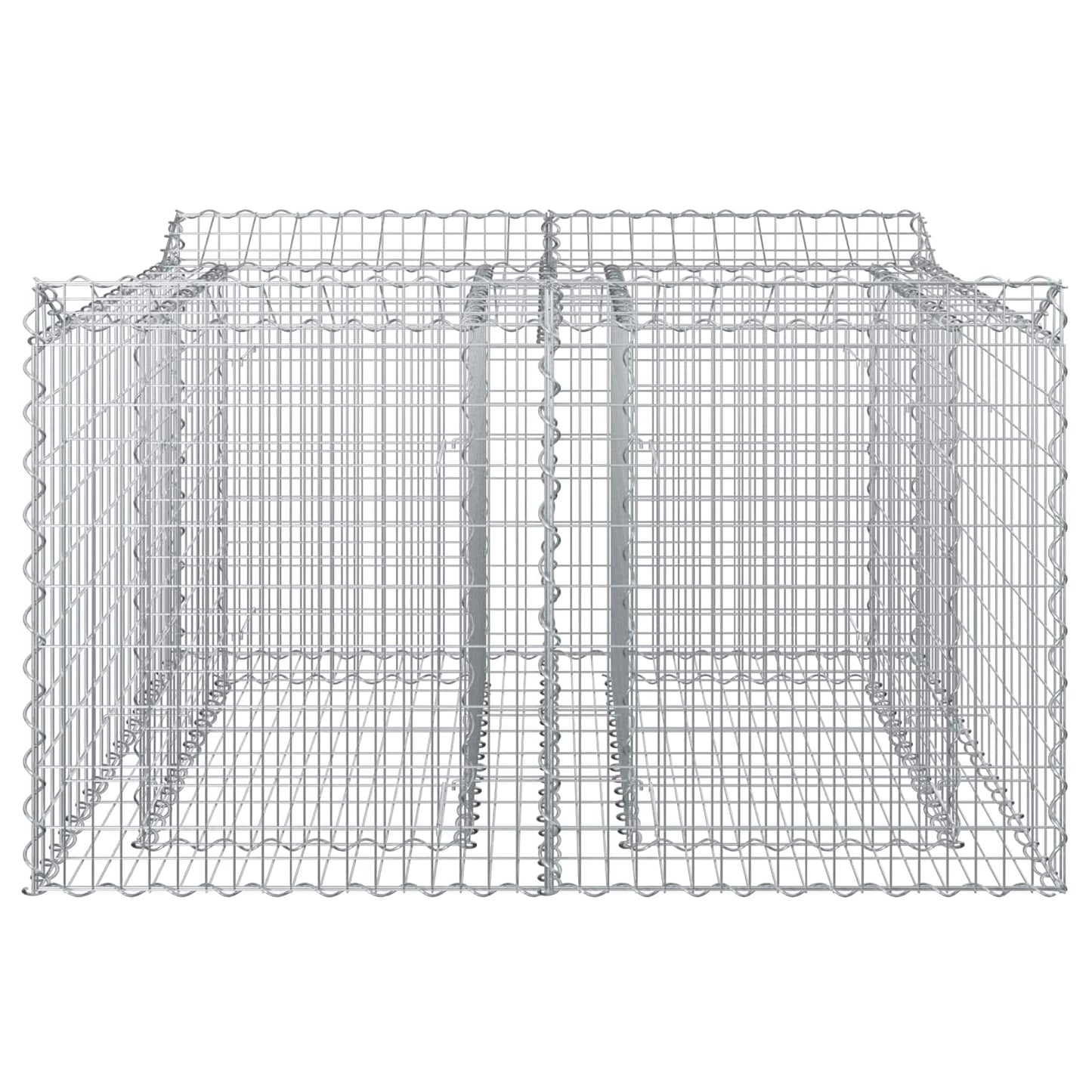 Gabionen-Hochbeet 100 x 100 x 60 cm Verzinkter Stahl Silber