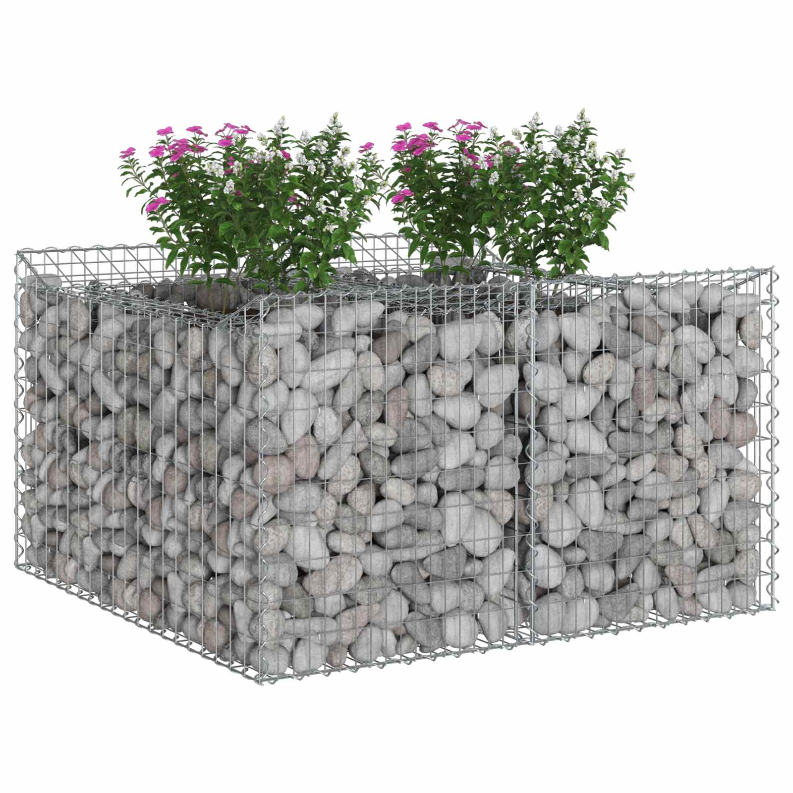 Gabionen-Hochbeet 100 x 100 x 60 cm Verzinkter Stahl Silber