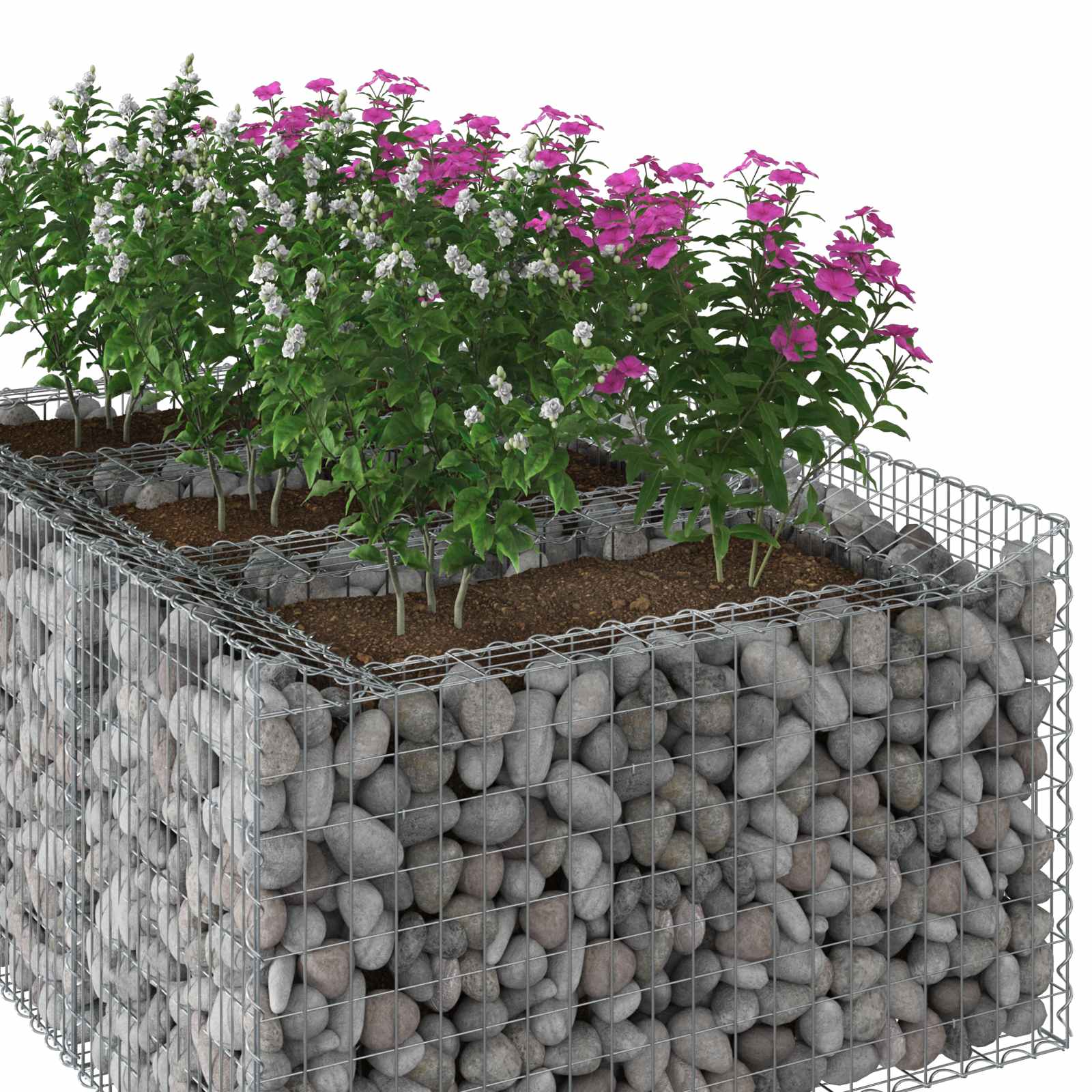 Gabionen-Hochbeet 150 x 100 x 60 cm Verzinkter Stahl Silber