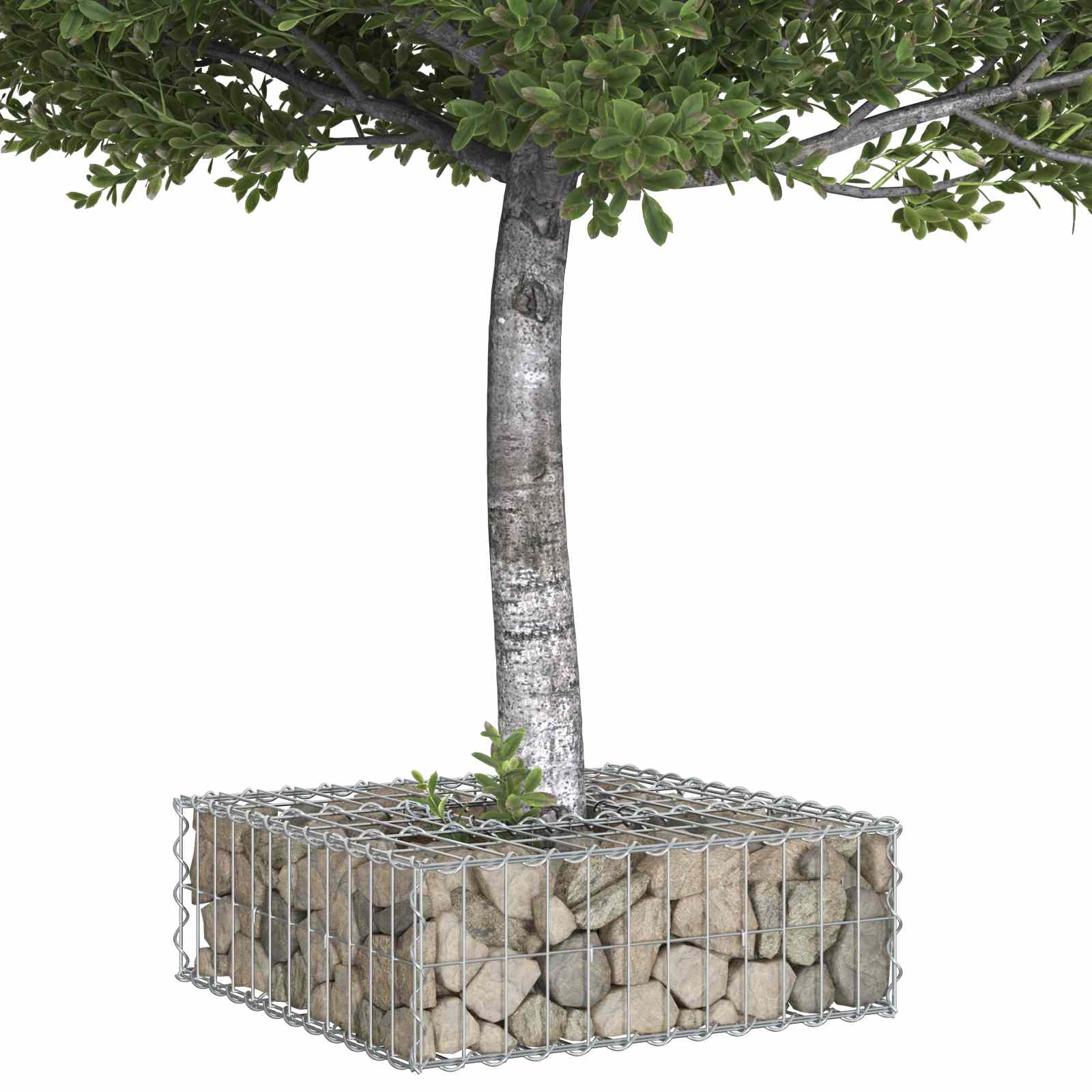 Gabionen Hochbeet 60 x 60 x 20 cm Verzinkter Stahl Silber
