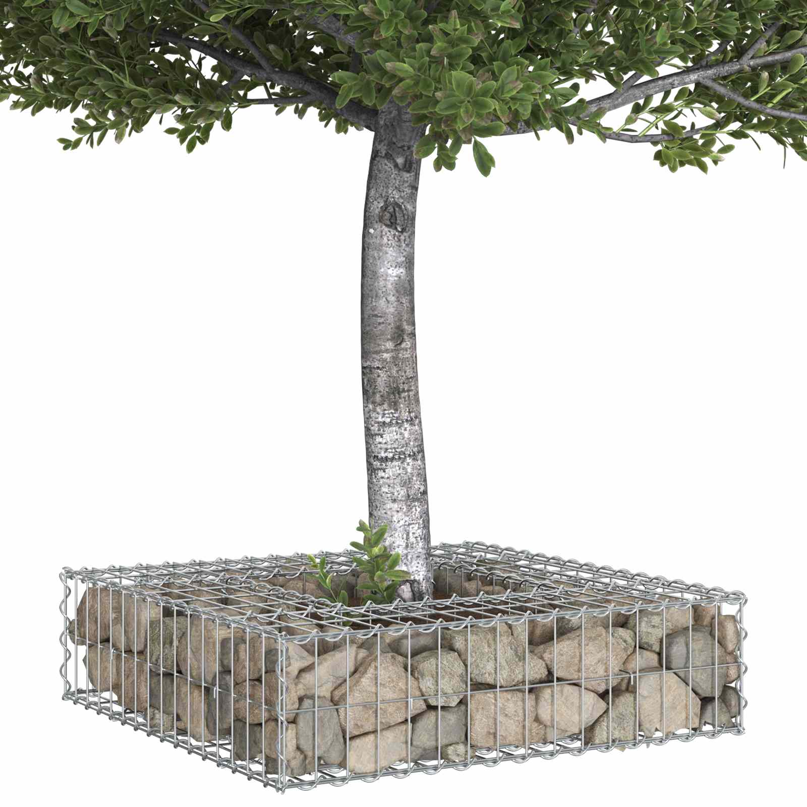 Gabionen Hochbeet 80 x 80 x 20 cm Verzinkter Stahl Silber