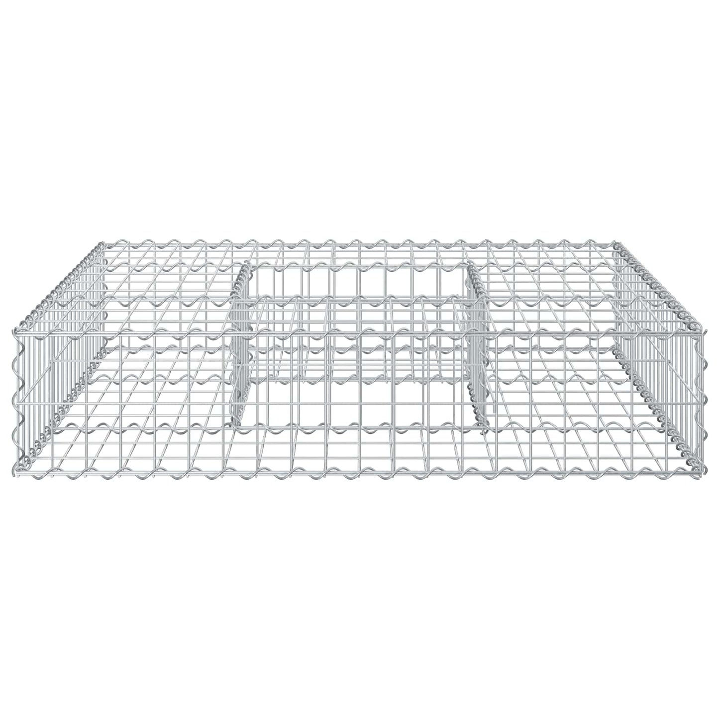 Gabionen Hochbeet 100 x 100 x 20 cm Verzinkter Stahl Silber