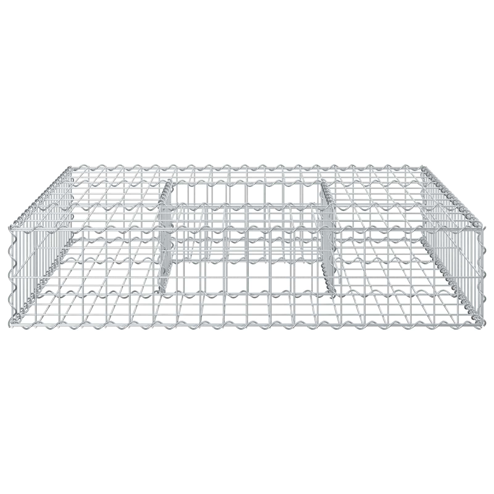Gabionen Hochbeet 100 x 100 x 20 cm Verzinkter Stahl Silber
