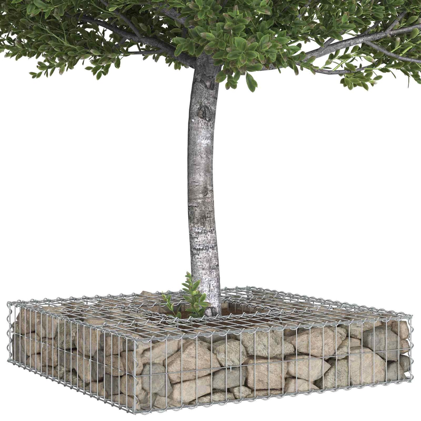 Gabionen Hochbeet 100 x 100 x 20 cm Verzinkter Stahl Silber