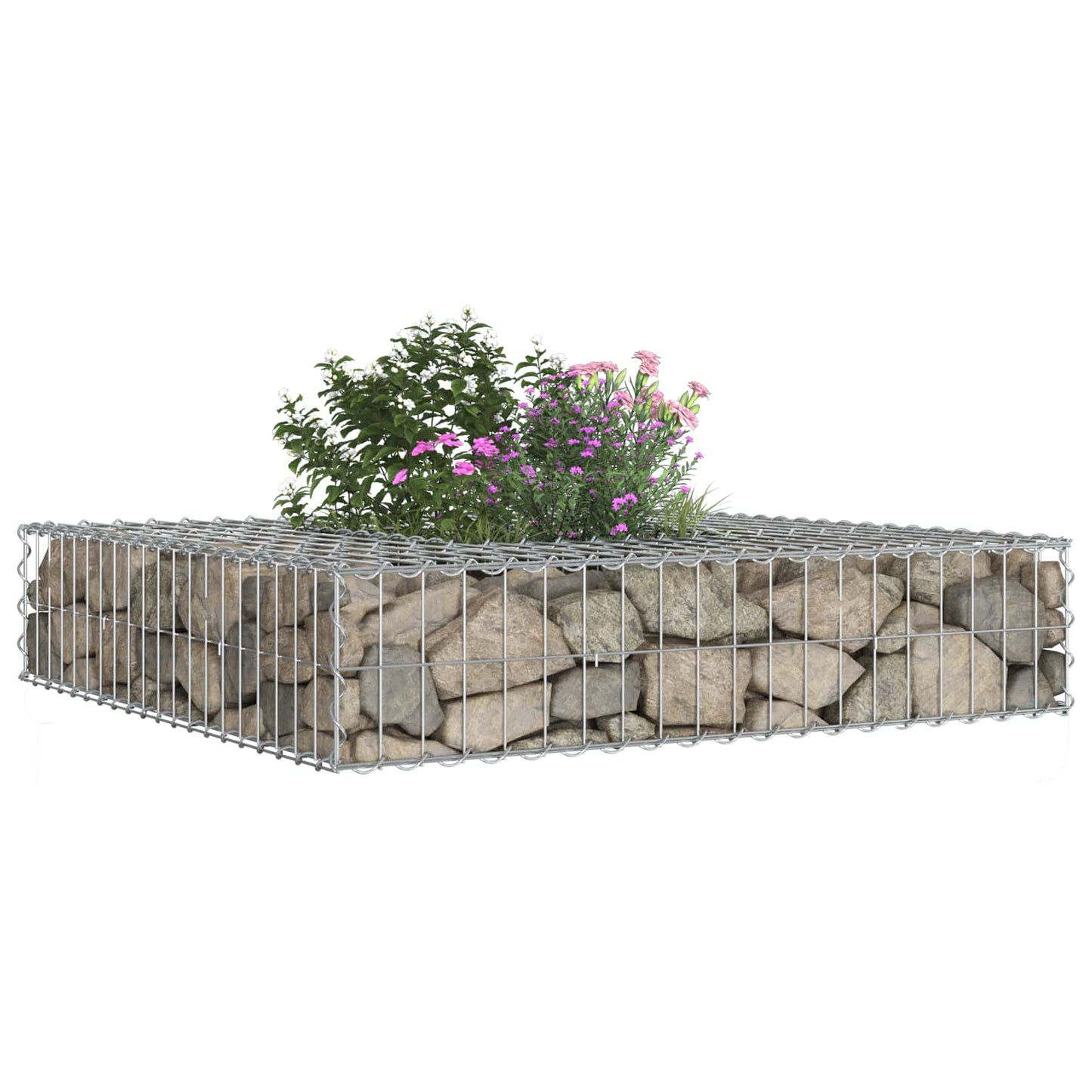 Gabionen Hochbeet 100 x 100 x 20 cm Verzinkter Stahl Silber