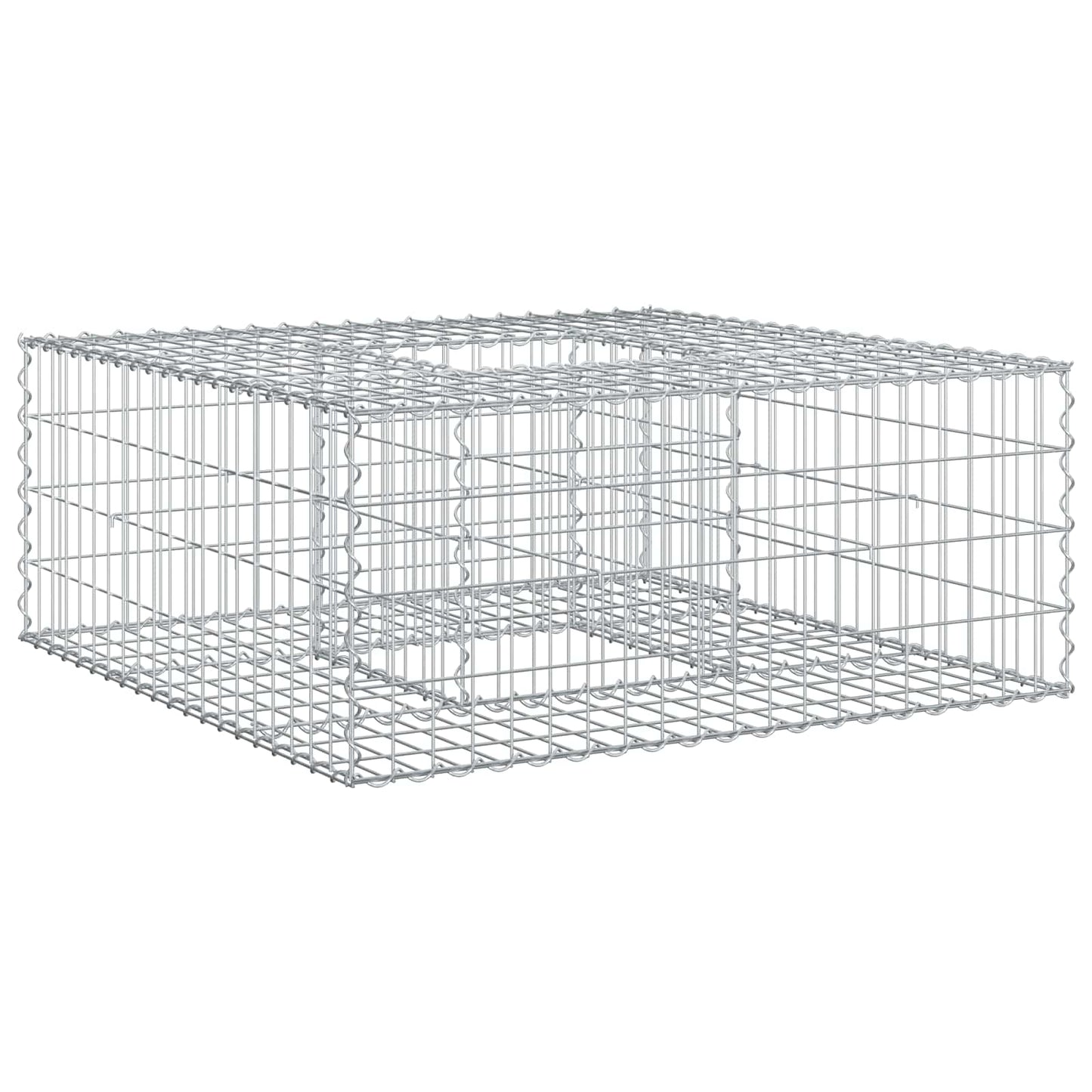 Gabionen Hochbeet 100 x 100 x 40 cm Verzinkter Stahl Silber