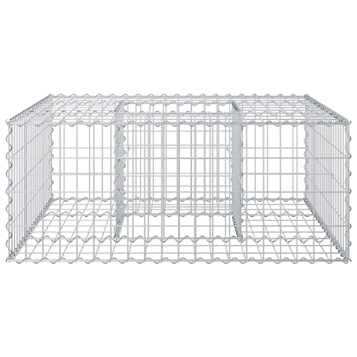 Gabionen Hochbeet 100 x 100 x 40 cm Verzinkter Stahl Silber